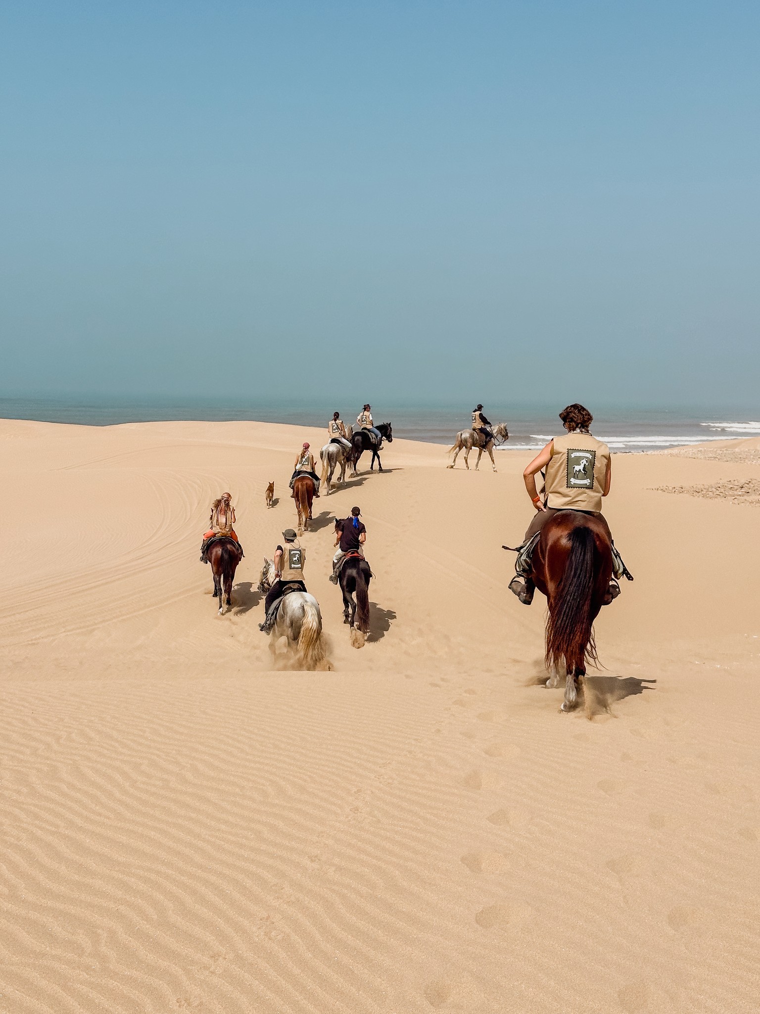 Horse and Yoga retreat