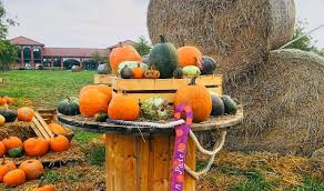 PRIMO FESTIVAL AGRICOLO D'AUTUNNO
