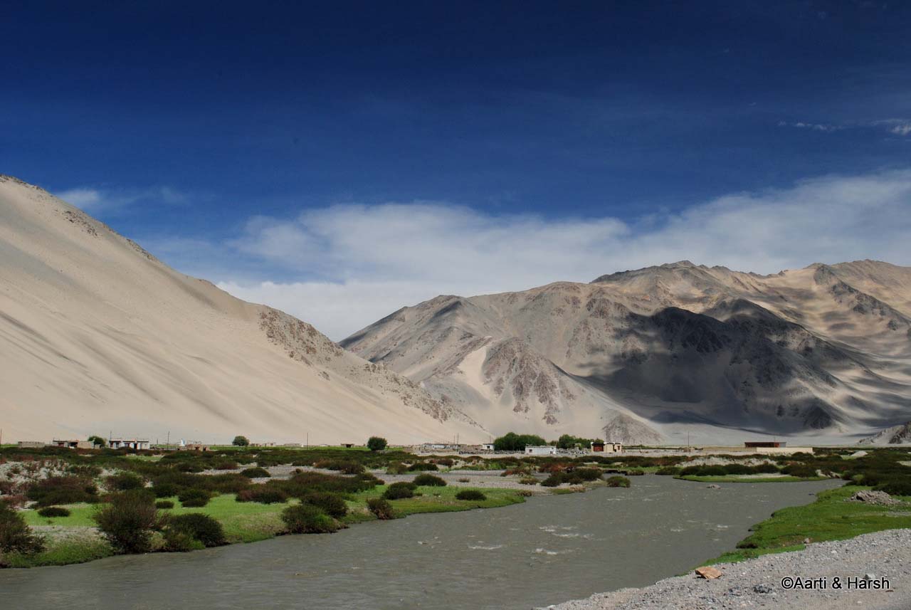 Woman Look Into The Camera