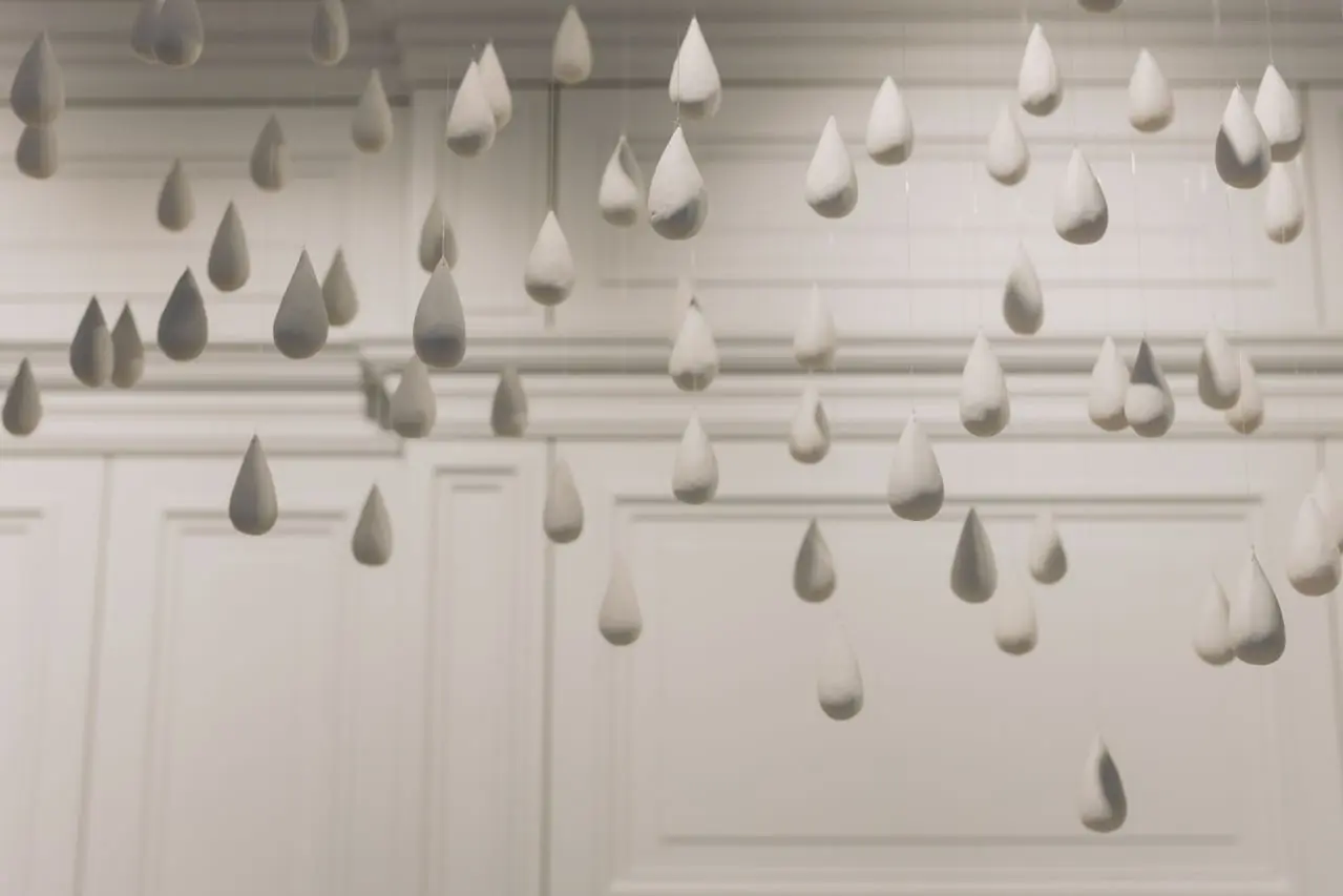 Install & Reveal
