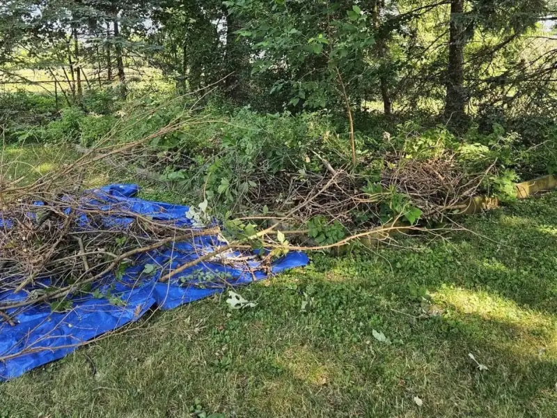 Before: yard brush piled on blue tarp