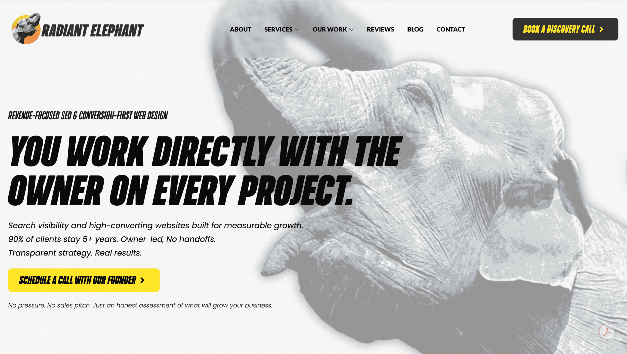 Radiant Elephant