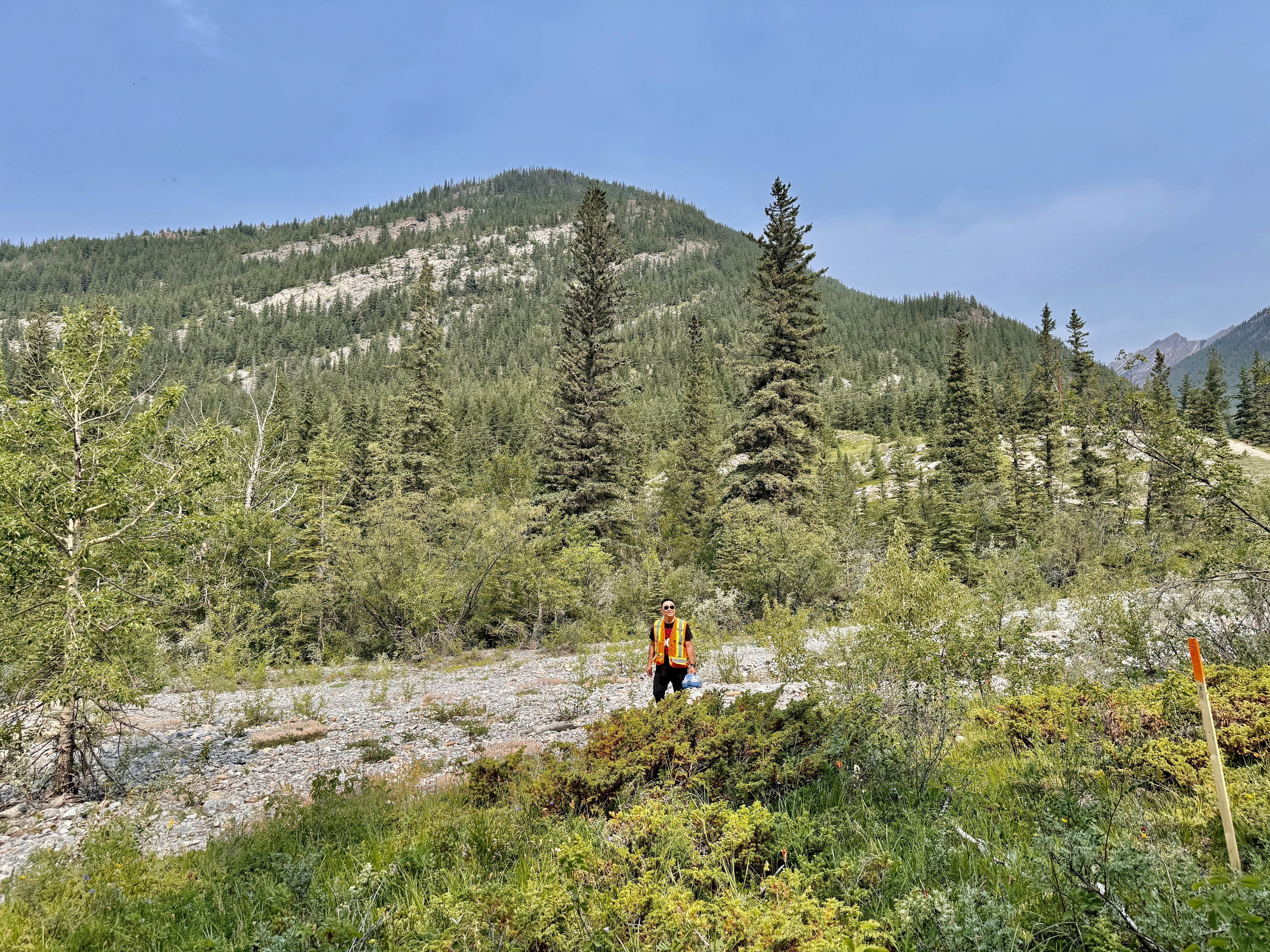 Team having a business meeting in modern office