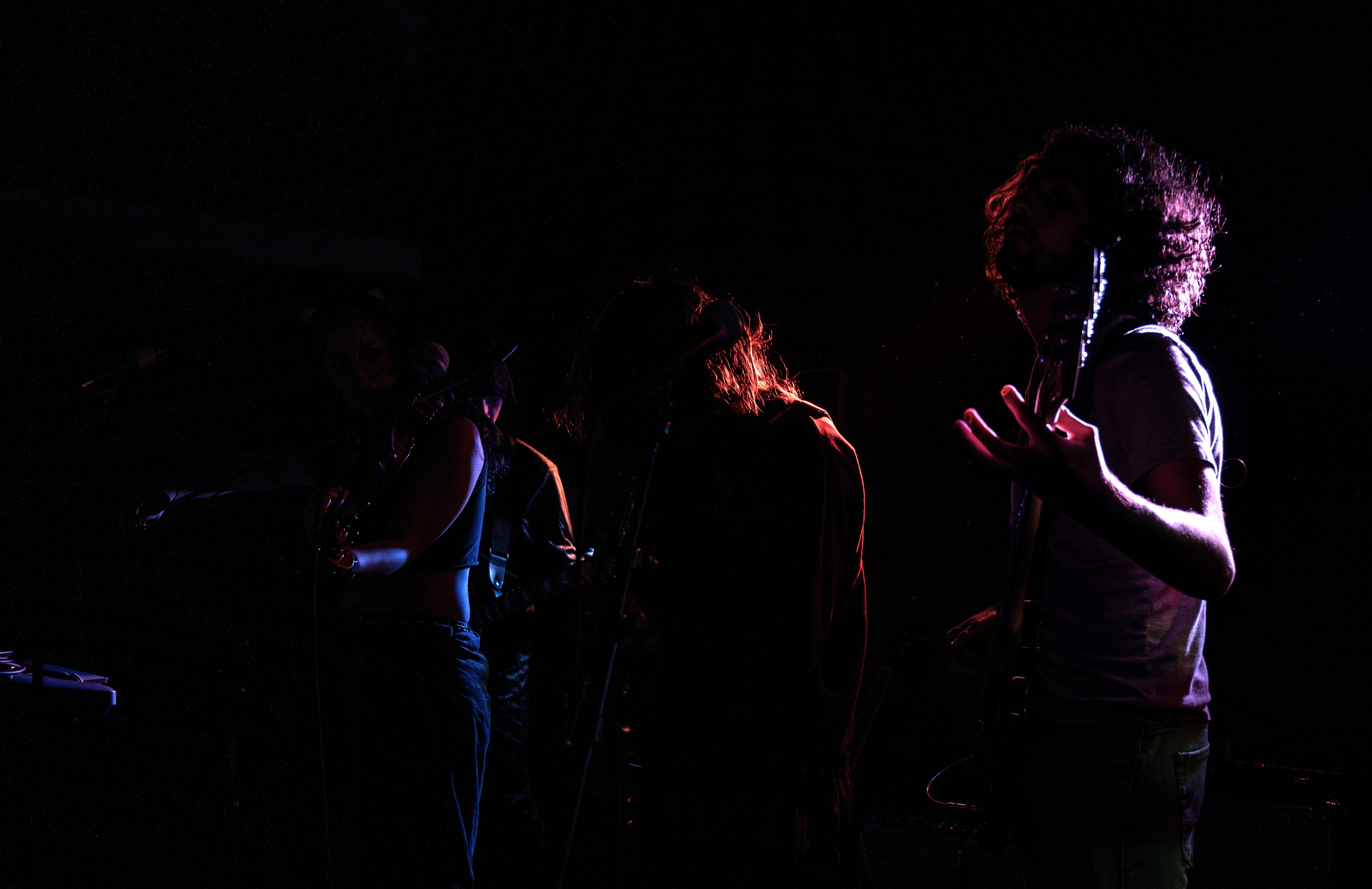 BURNT. NIKON Z6. FALL 2024. MUIR WOODS, CA.