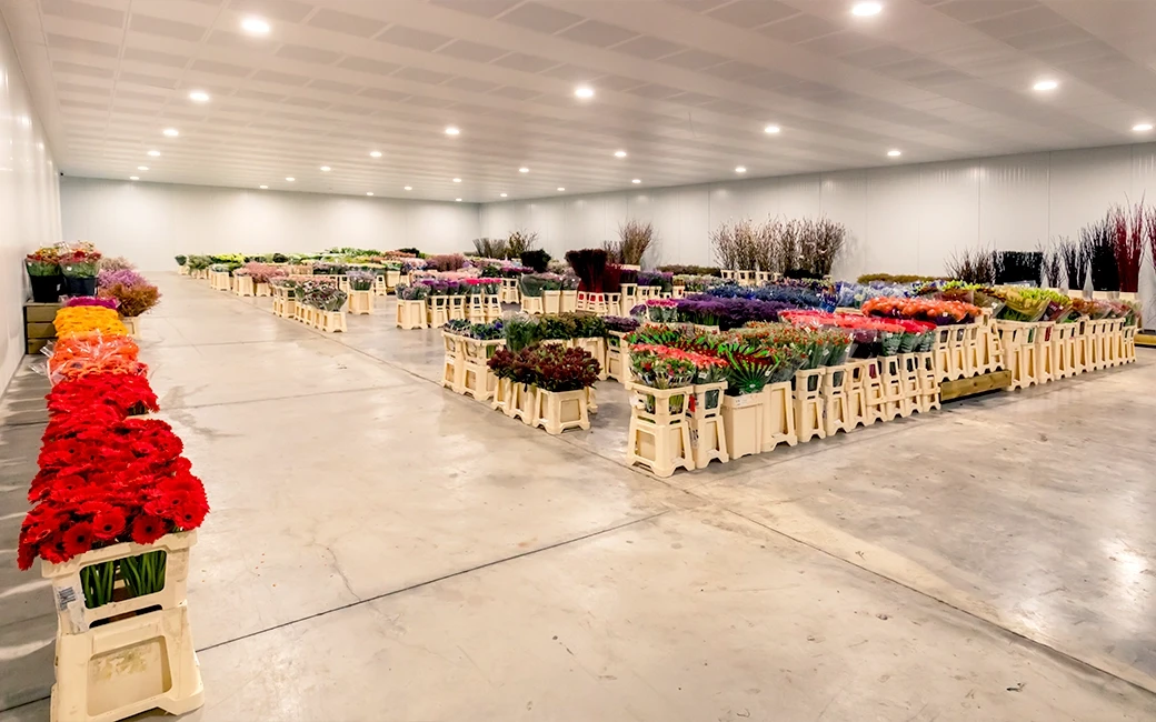 Gekoelde hal van een cash & carry gevuld met bloemen