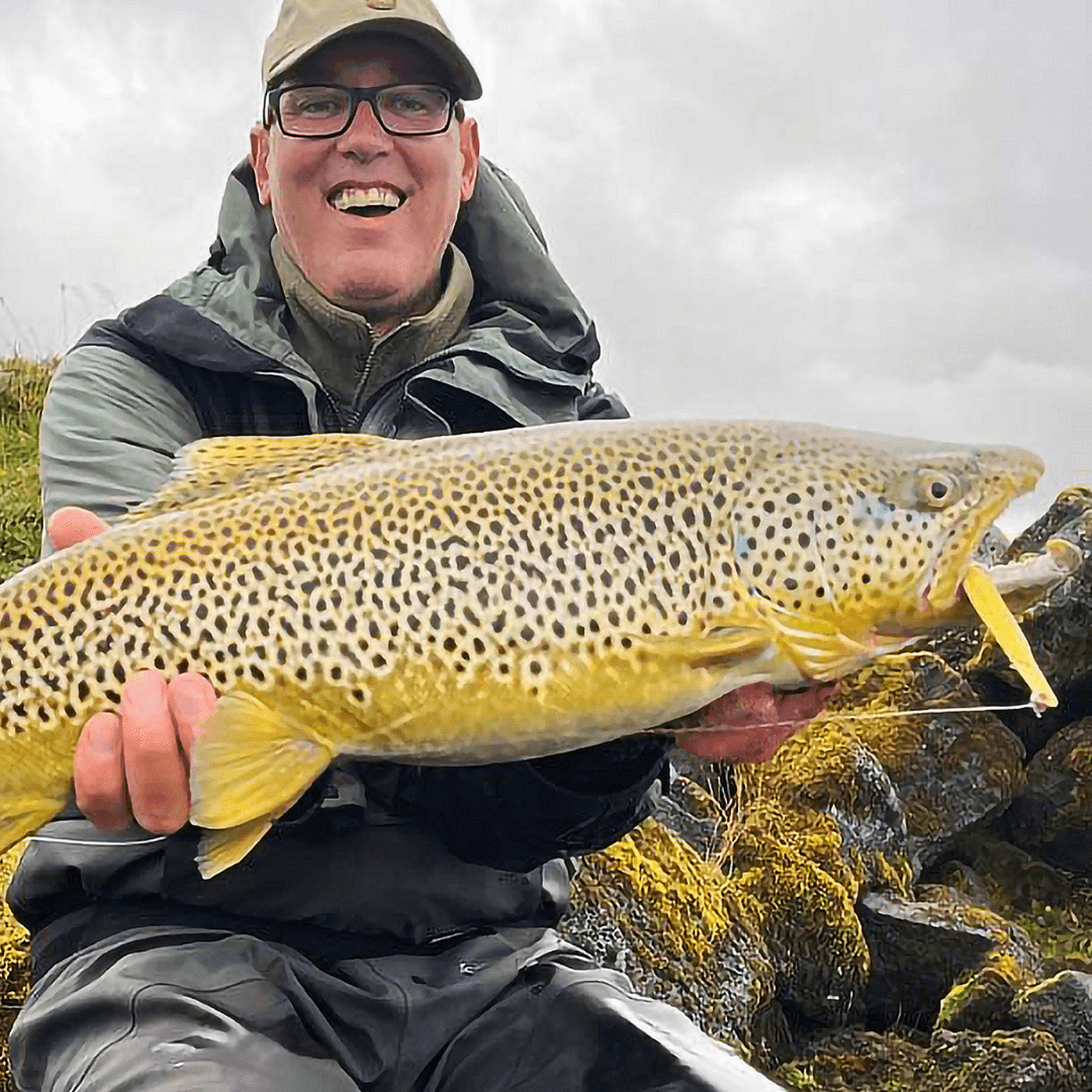 Island, Brown Trout, Arctic char, fjeldørred