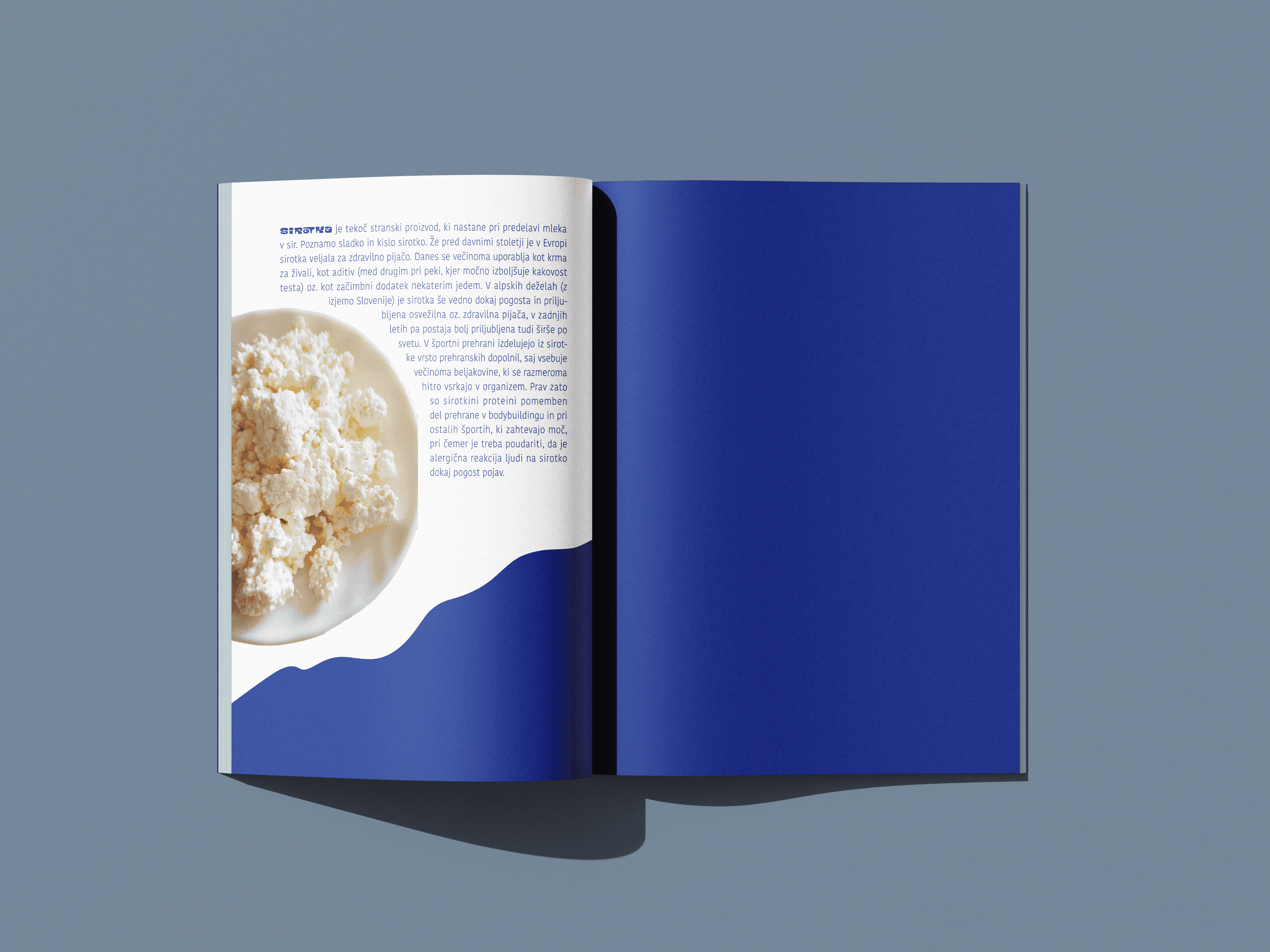 Closing brochure spread with a bowl of fresh whey curds and a deep blue page.