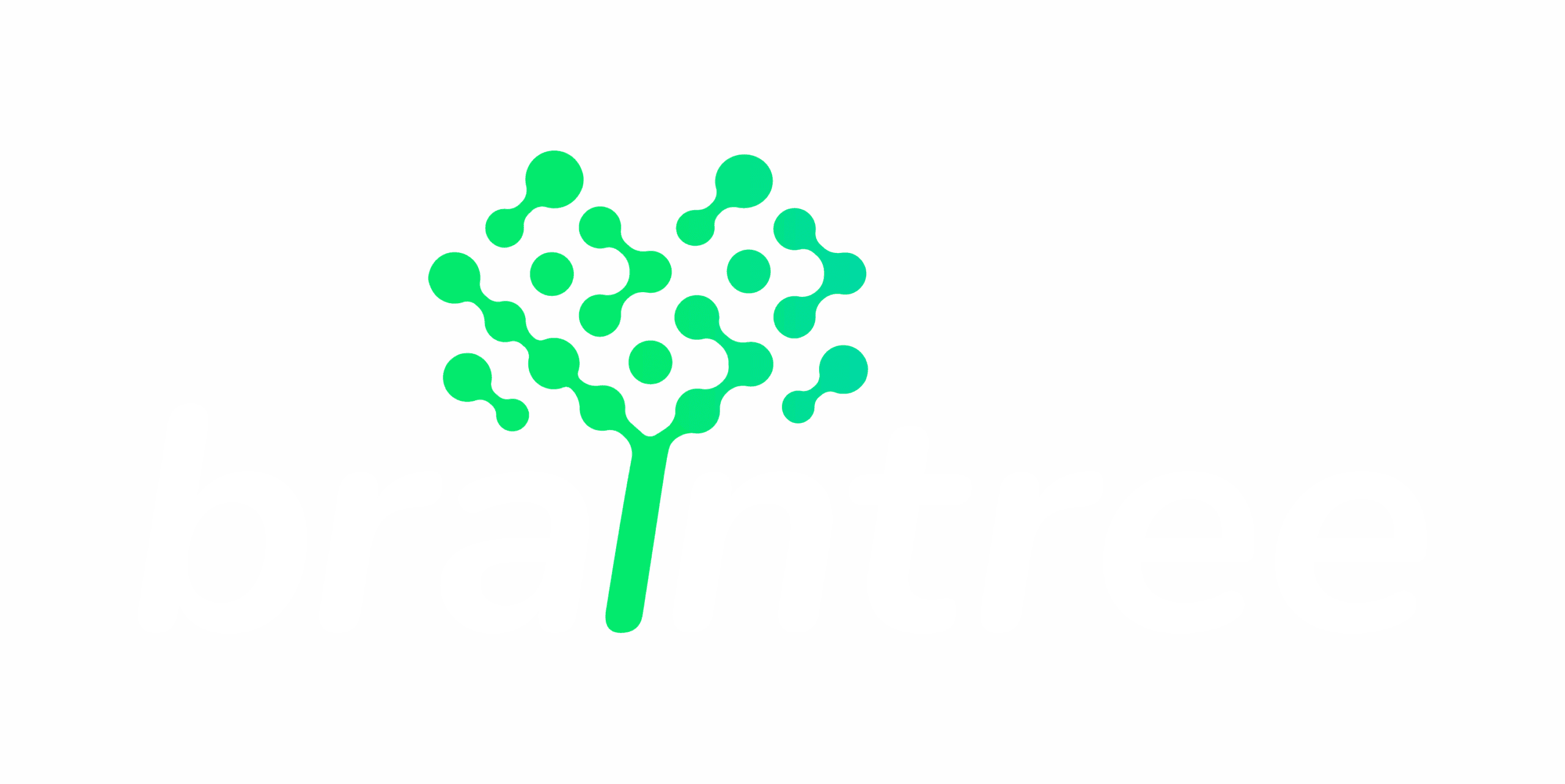 braintree logo