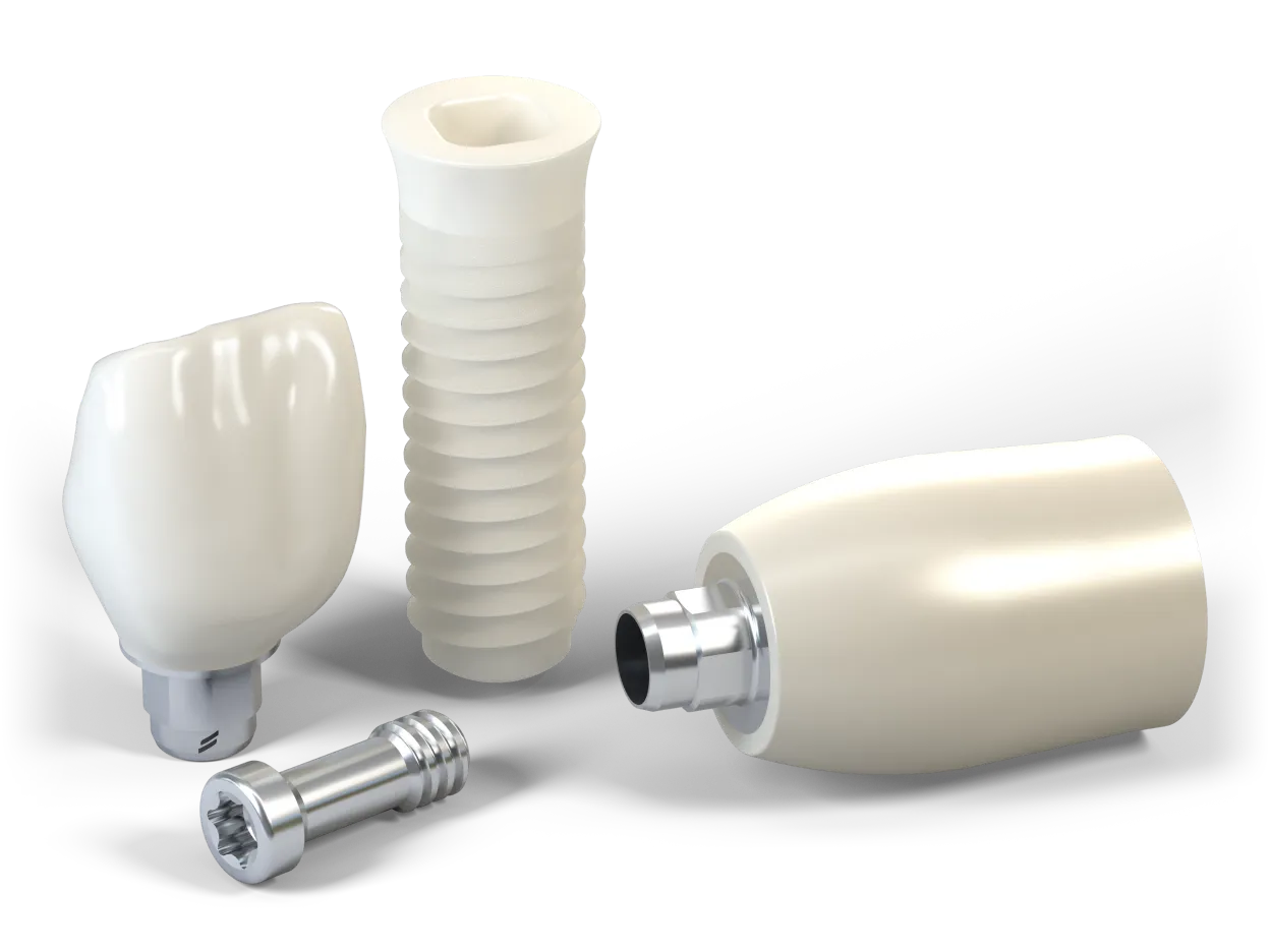 Wizualizacja implantów