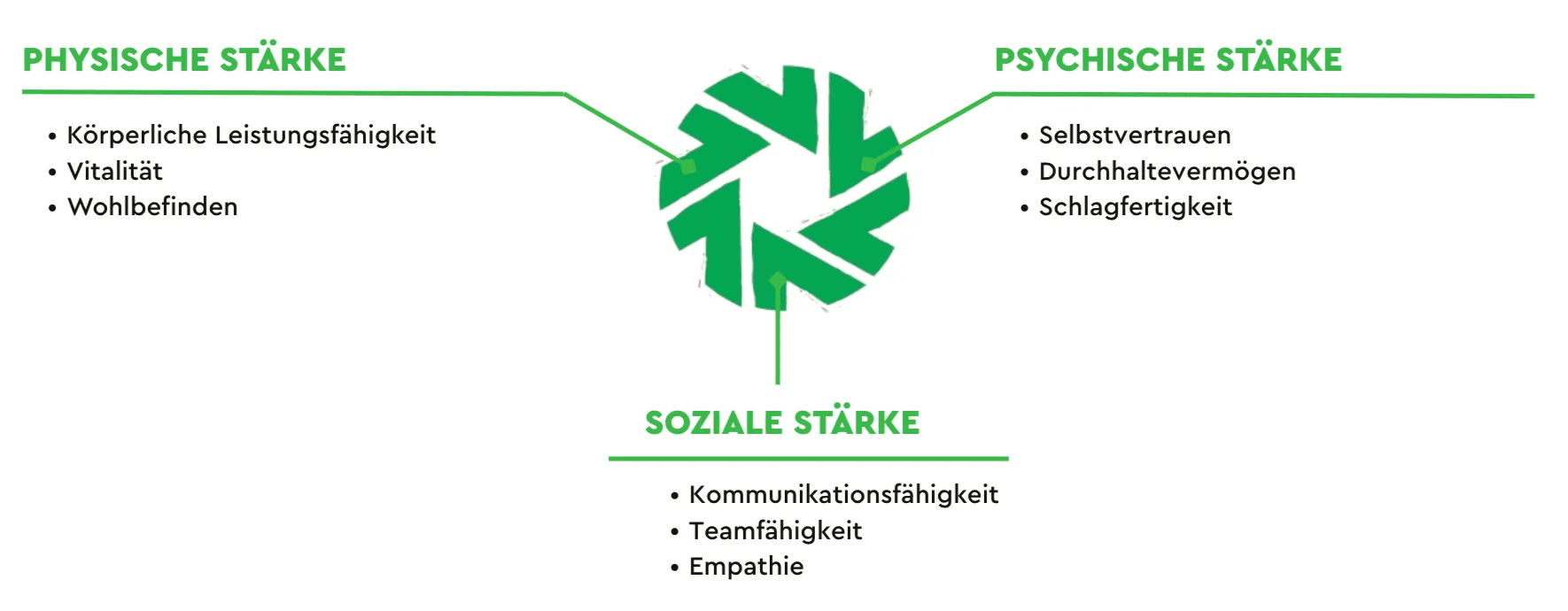 Eine Grafik, die die Stärken von Strong Partners darstellt: Phsysische Stärke, Soziale Stärke, Psychische Stärke
