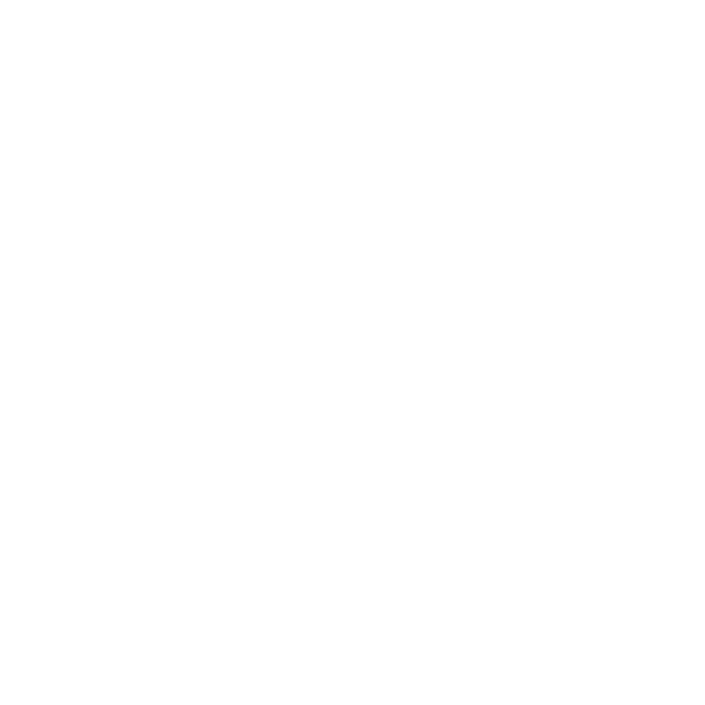 Gemini Flash 2.0