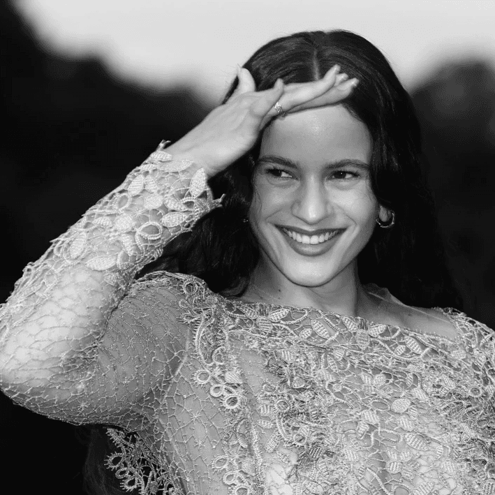 Silhouetted agapanthus flowers against a gradient sky.