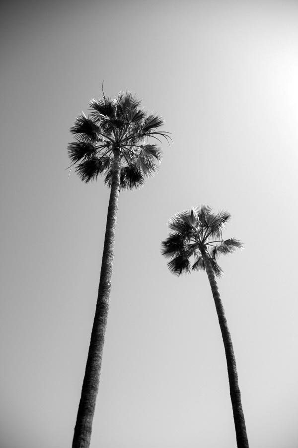 Explore Canary Islands with private jet services - Black sand beaches laurel forests