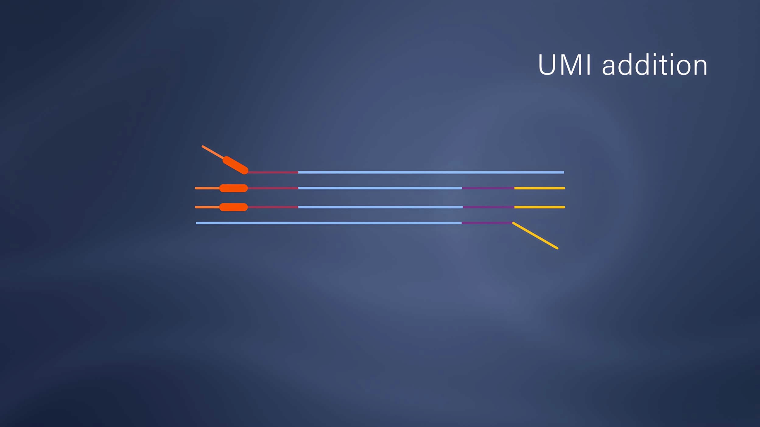 UMI addition - one of the QASeq protocol steps schematic illustration