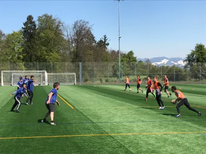 Kunstrasen multifunktional