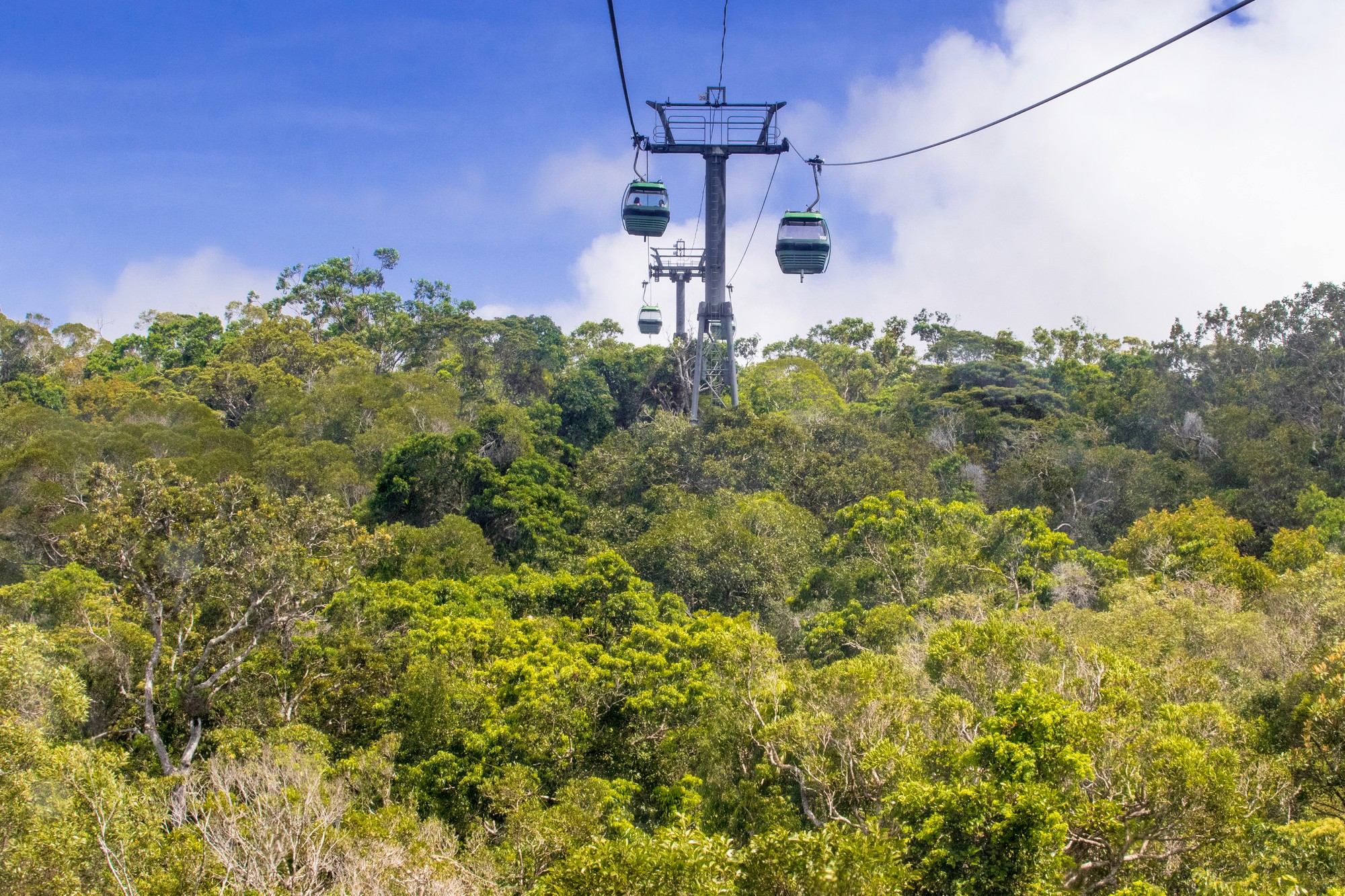 Tropical beach with umbrellas and lounge chairs.