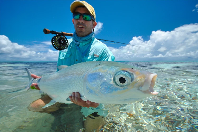 Fishing Milkfish