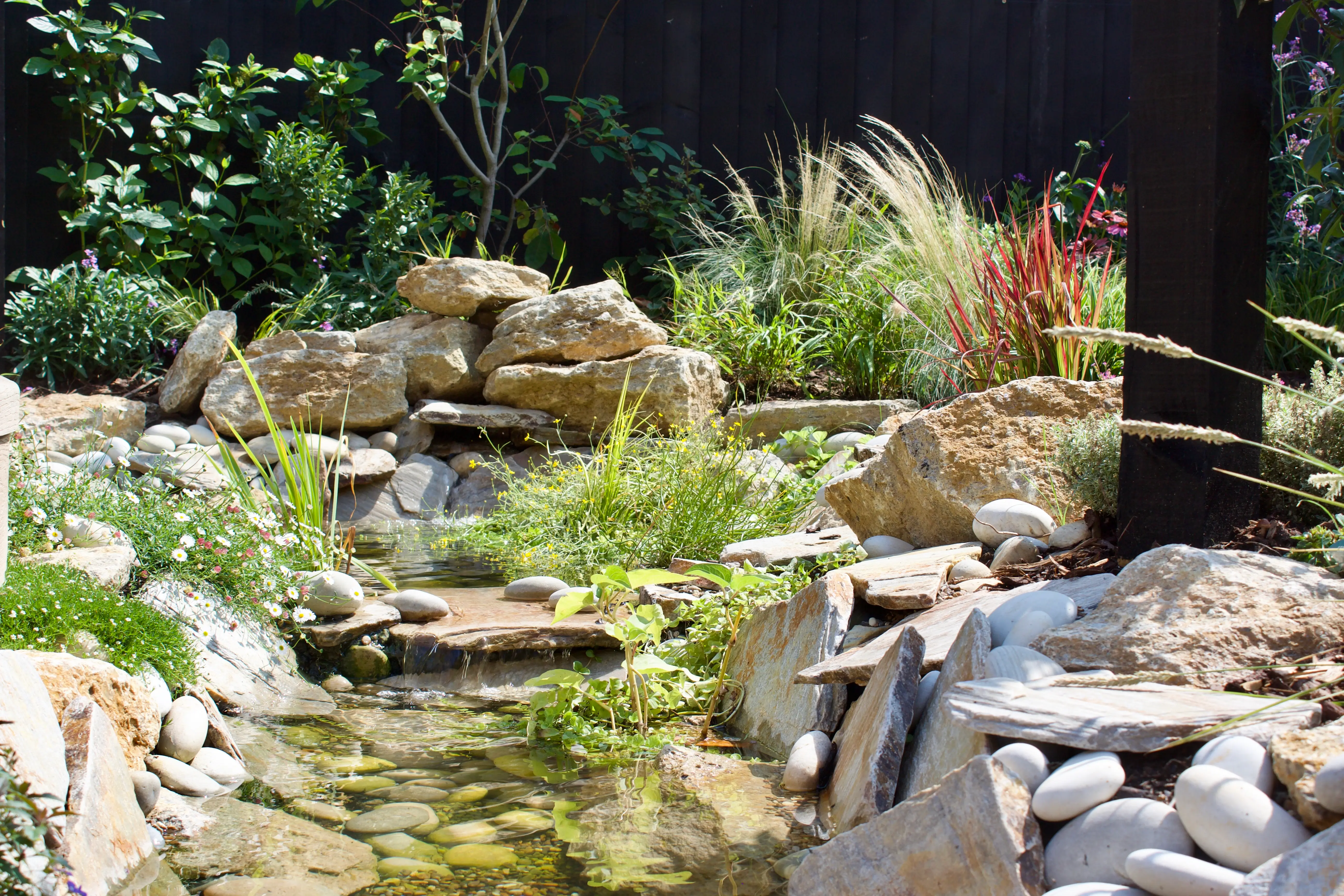 A serene garden scene featuring lush greenery, rocks, and a small water feature surrounded by plants.