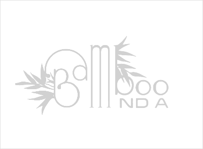 Bamboo India