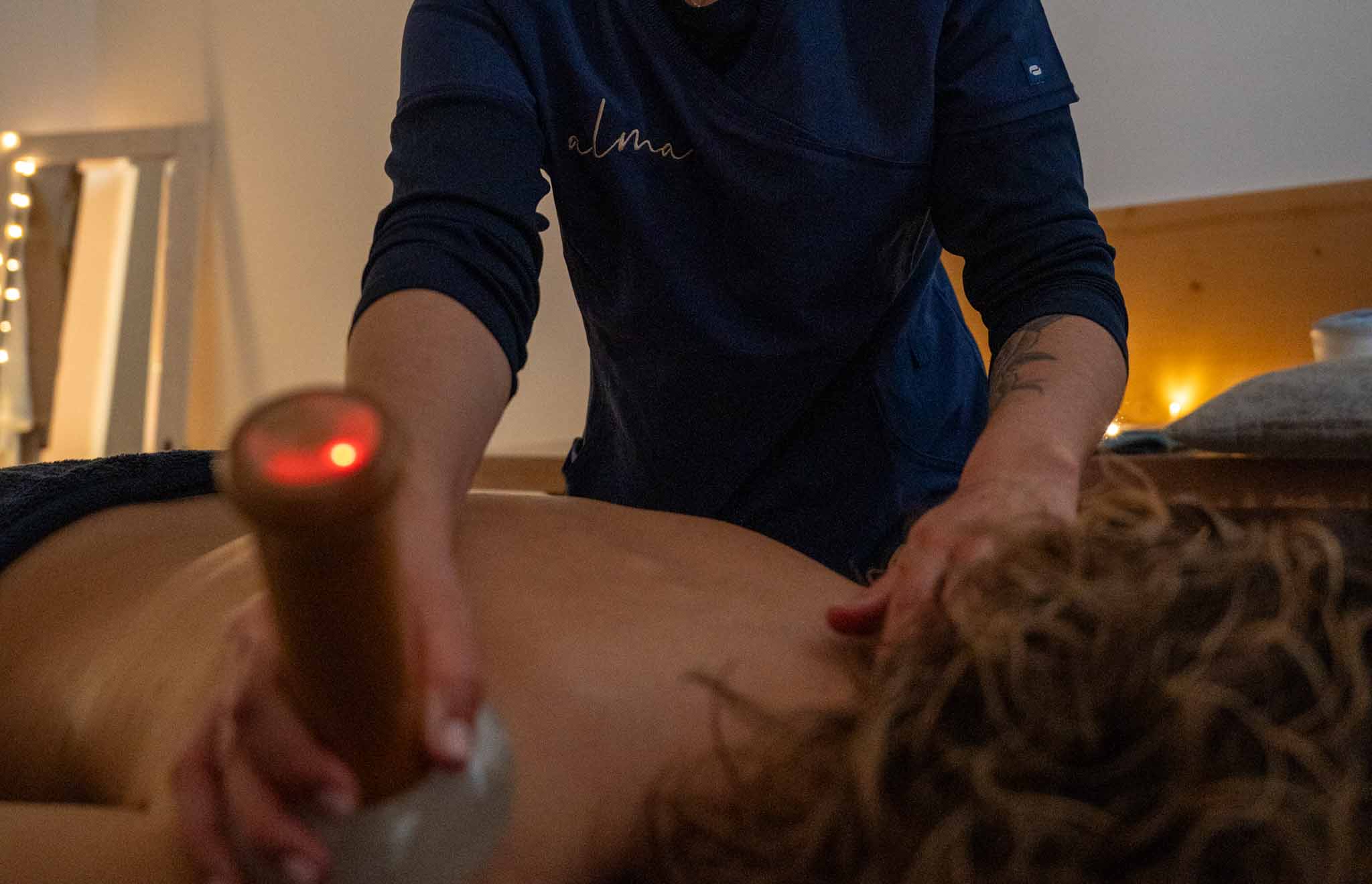 Close-up of lush, dark green leaves, some glossy and wet, against a muted background.