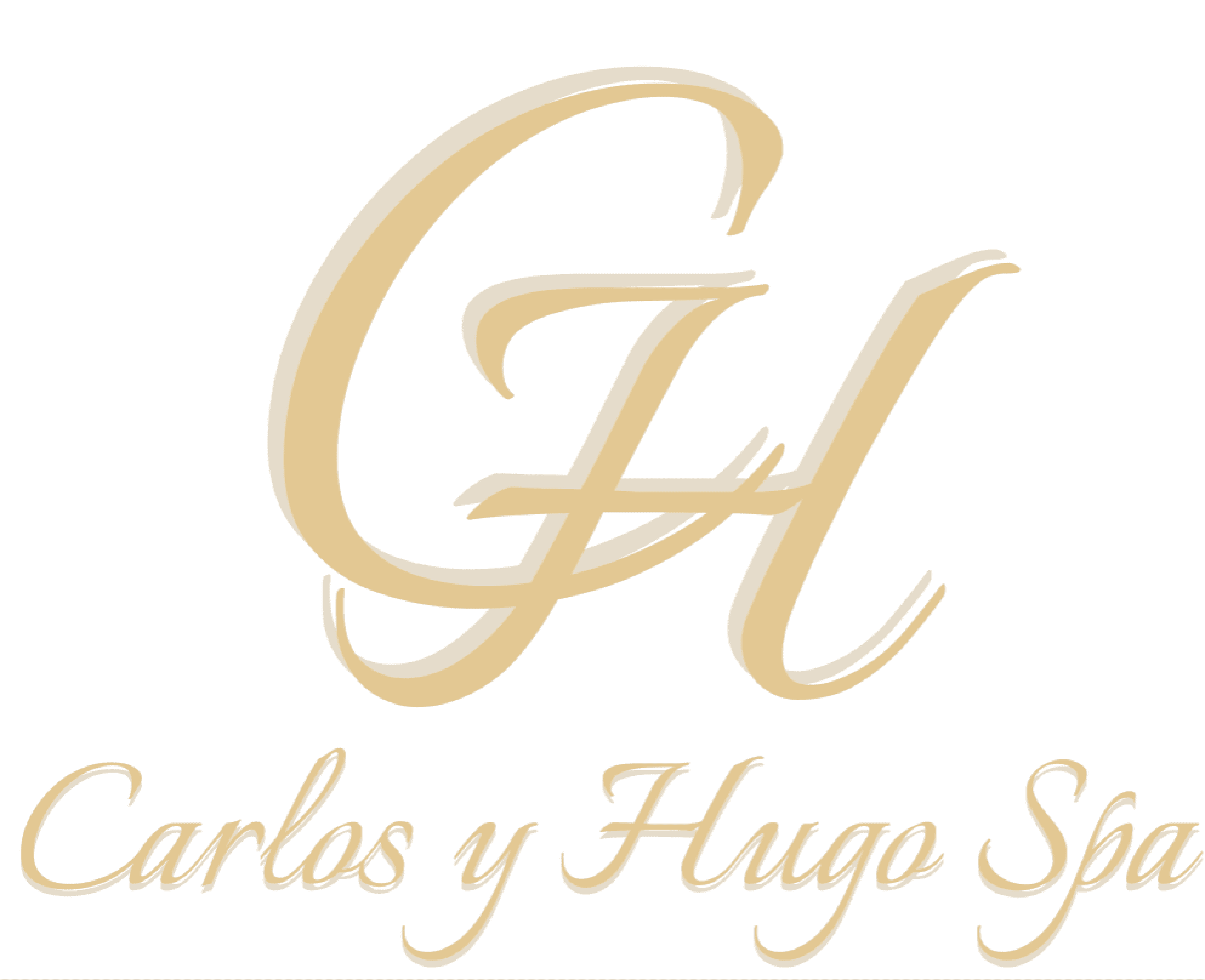 Logo de Peluquería Carlos y Hugo Spa en Arequipa