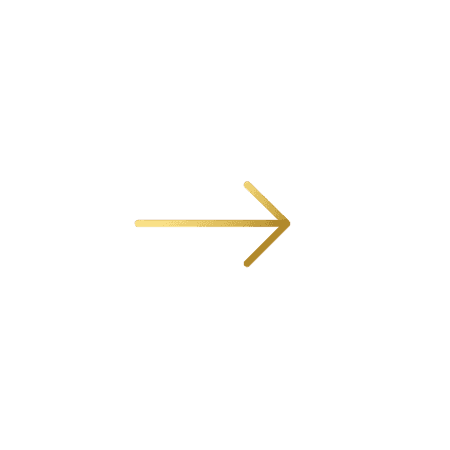 Next Arrow