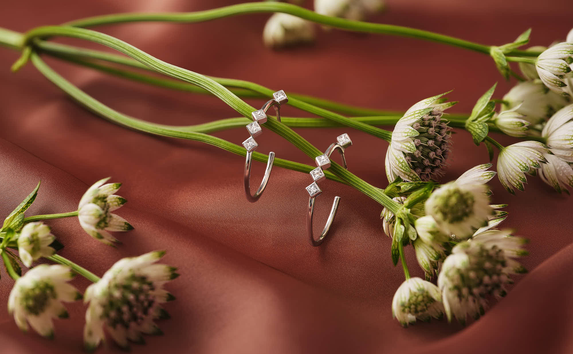 A close-up of delicate white flowers and buds on a soft red background, showcasing their natural beauty.