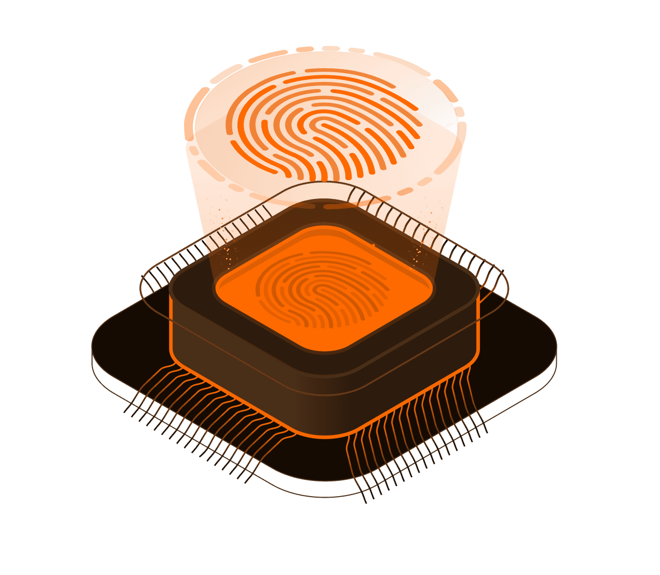 Feature Image
