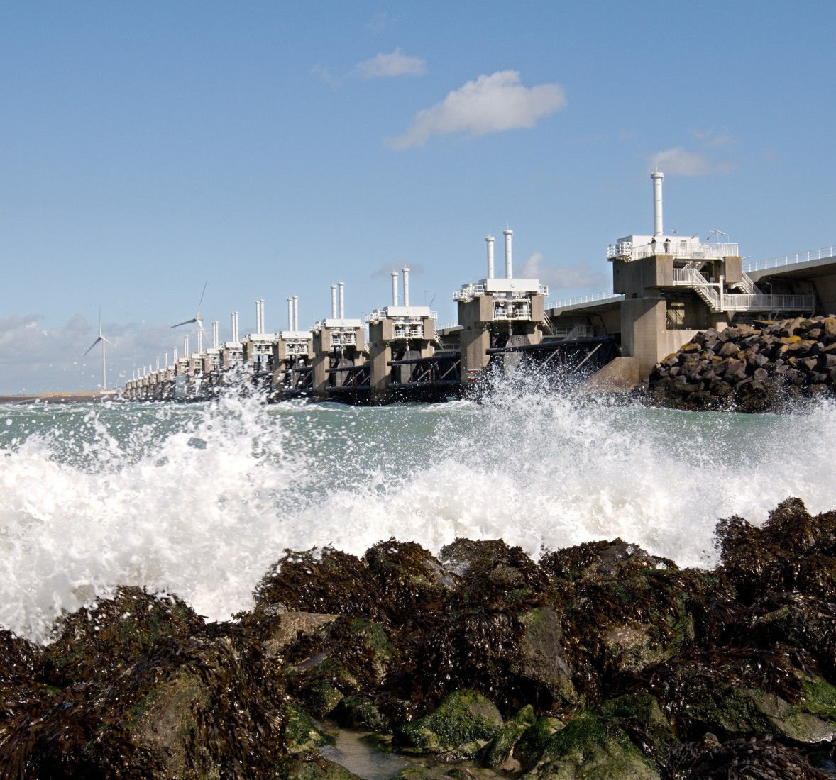 Image showing Secquard, a reputable Dutch cybersecurity and risk management software development company.