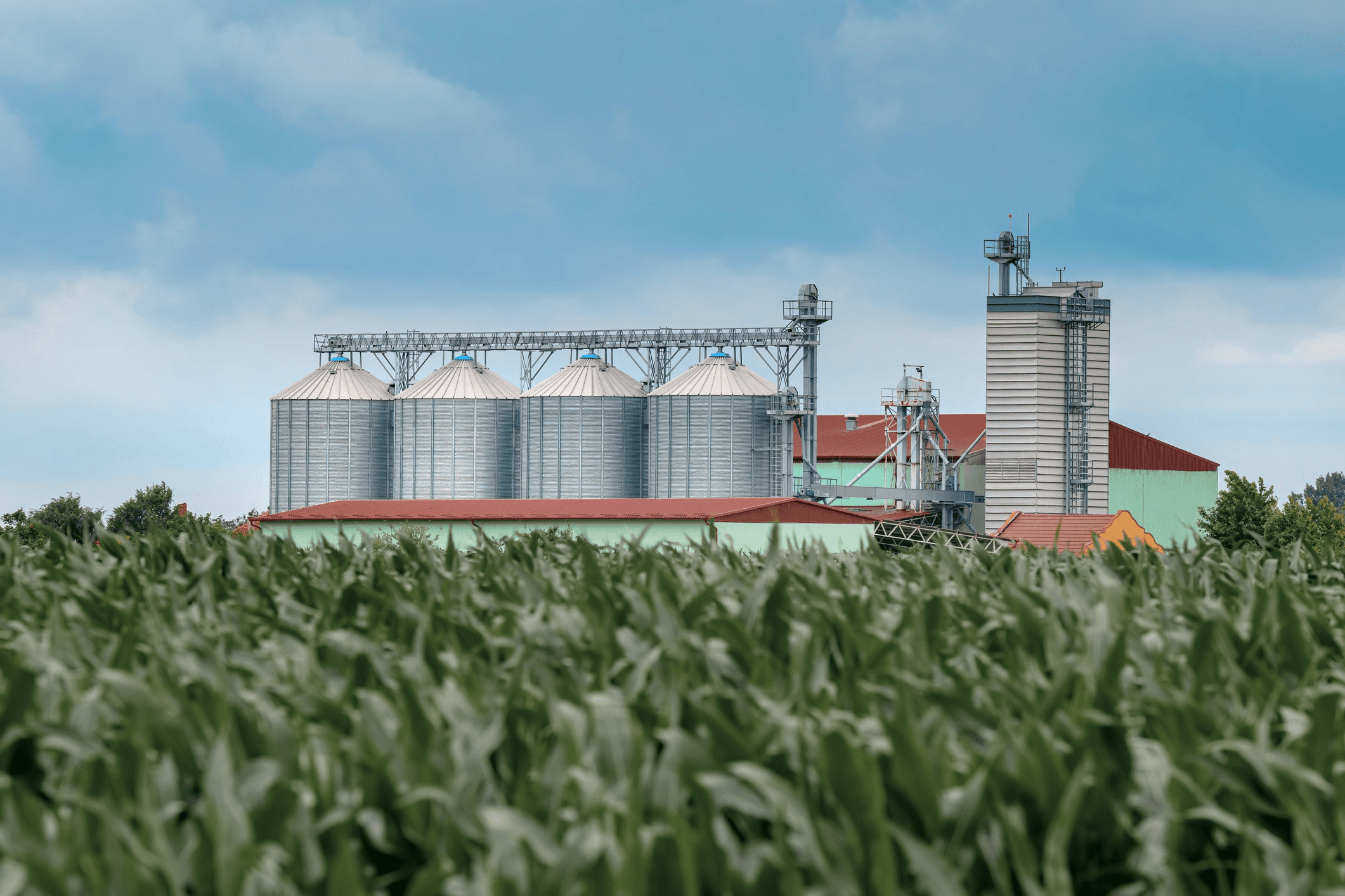 A large industrial building rises behind green crops under a blue sky, indicating agricultural activity.