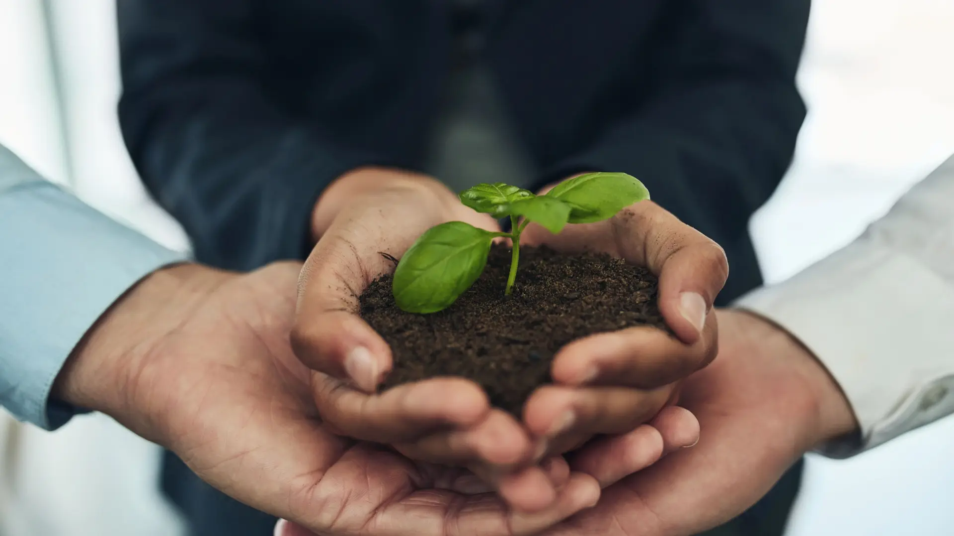 A QualiS aplica uma estratégia de sustentabilidade 360°, integrando responsabilidade socioambiental em todas as etapas dos serviços (Foto: Shutterstock)