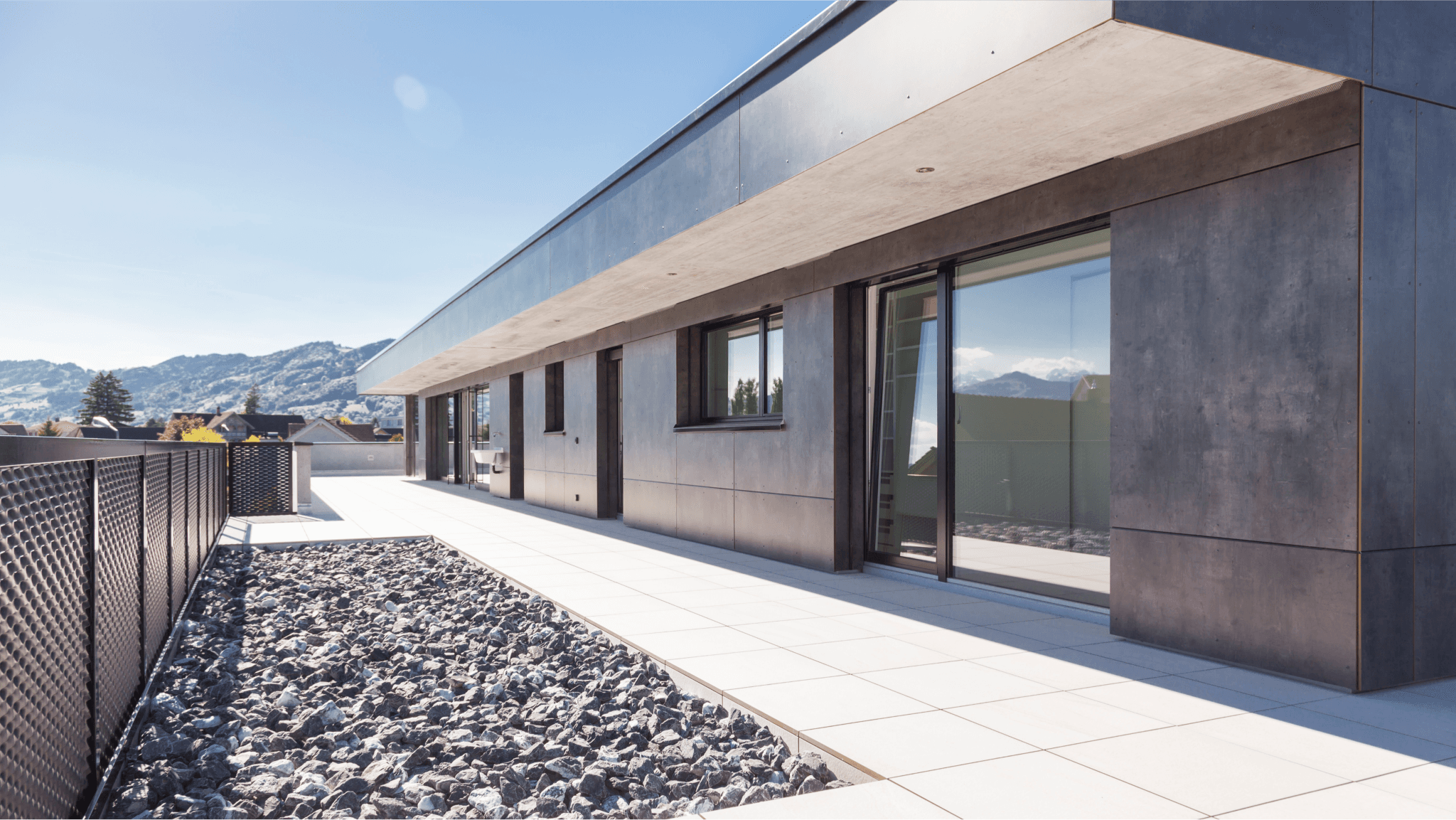 Siednji Leon Unsplash