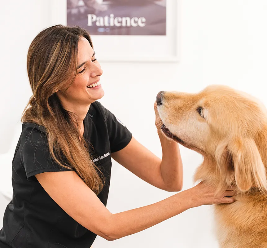 Dr. Mafalda Sardinha with a Golden Retriever dog at Noble Vet Clinic in Dubai. dog at Noble Vet Clinic in Dubai