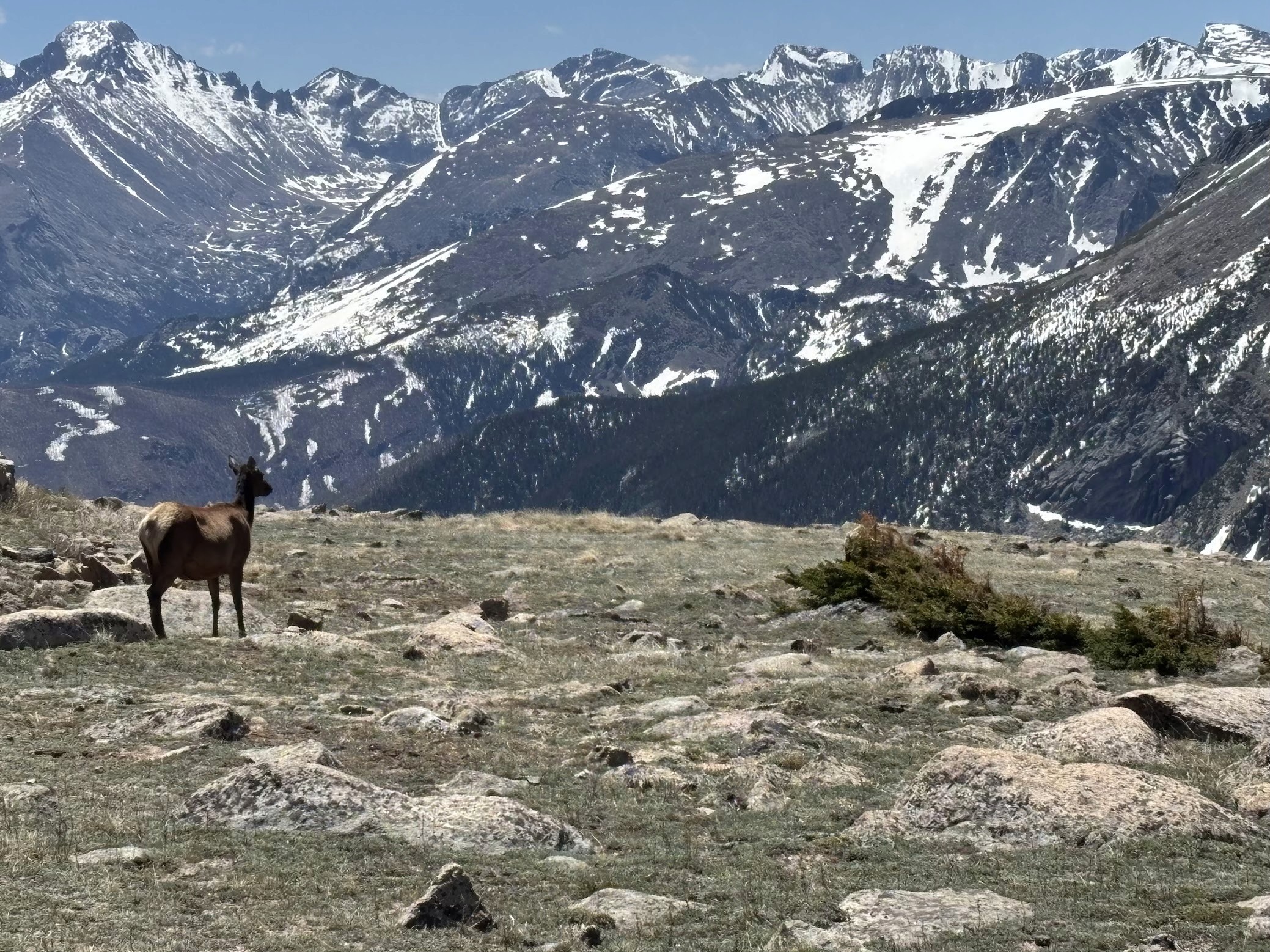 people sitting on chair in front of laptop computers