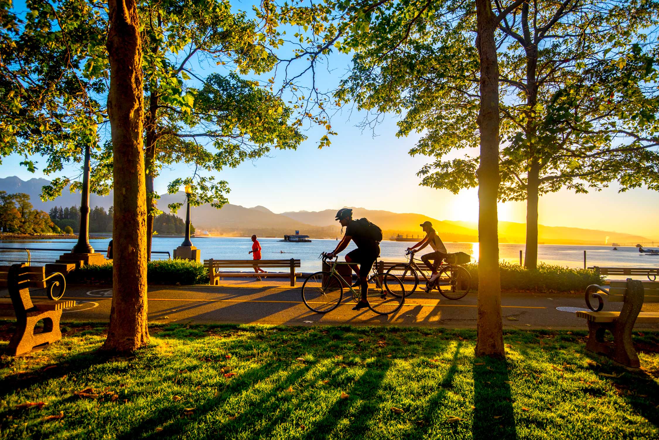 Golden hour sunlight streams through lush green trees over a peaceful waterfront promenade where people cycle near calm water.