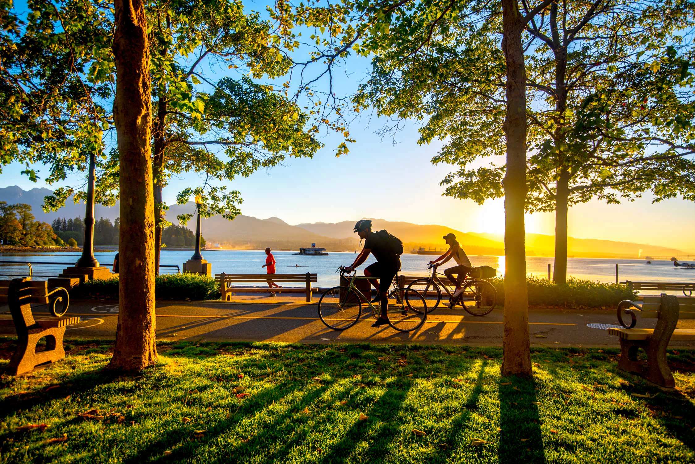Golden hour sunlight streams through lush green trees over a peaceful waterfront promenade where people cycle near calm water.