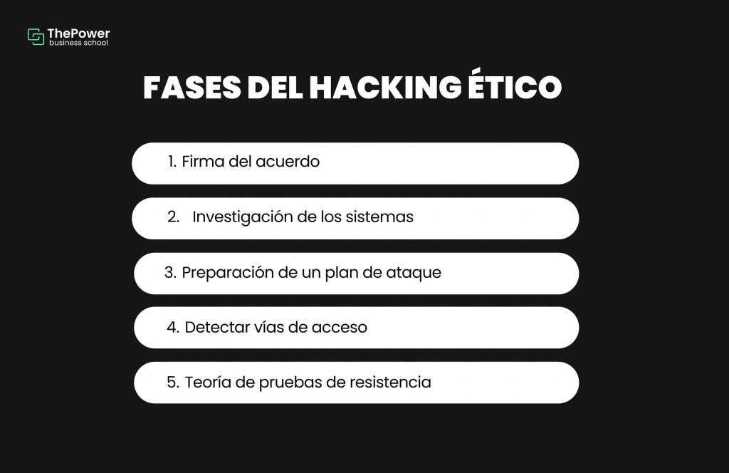 fases del hacker ético