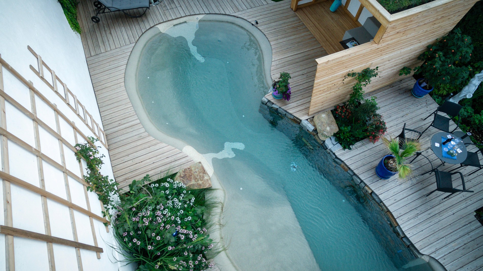 Pool area with tropical garden