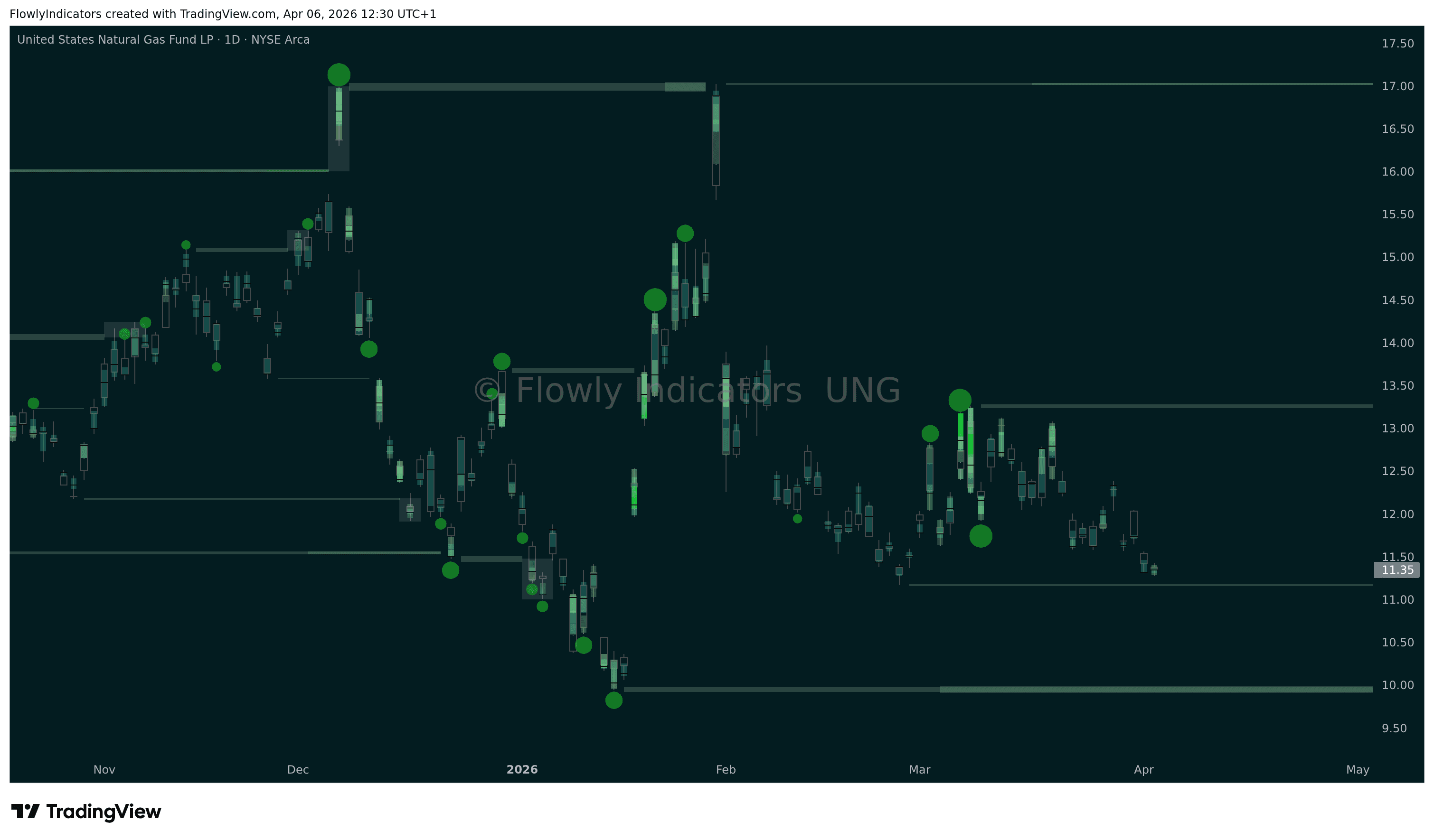 Trading chart of Natural Gas (UNG) showing recent liquidity levels, liquidations and unusual volume patterns.