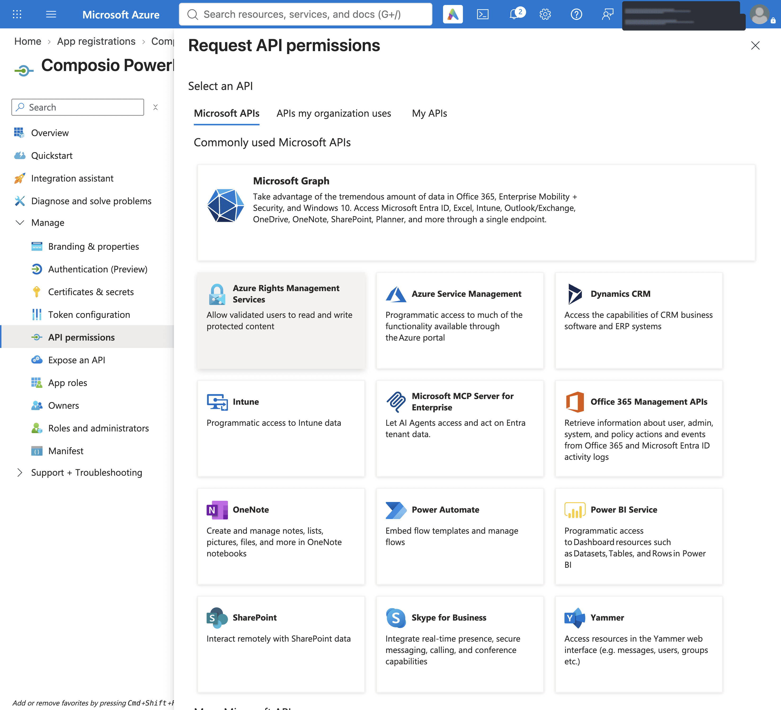 Microsoft Graph selected in Request API permissions
