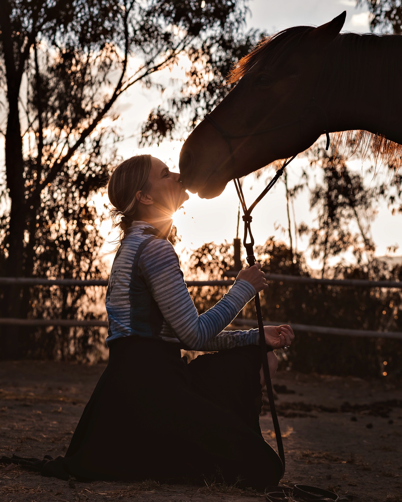 Contact Christina Marz for horse-guided personal development coaching and trauma therapy inquiries.