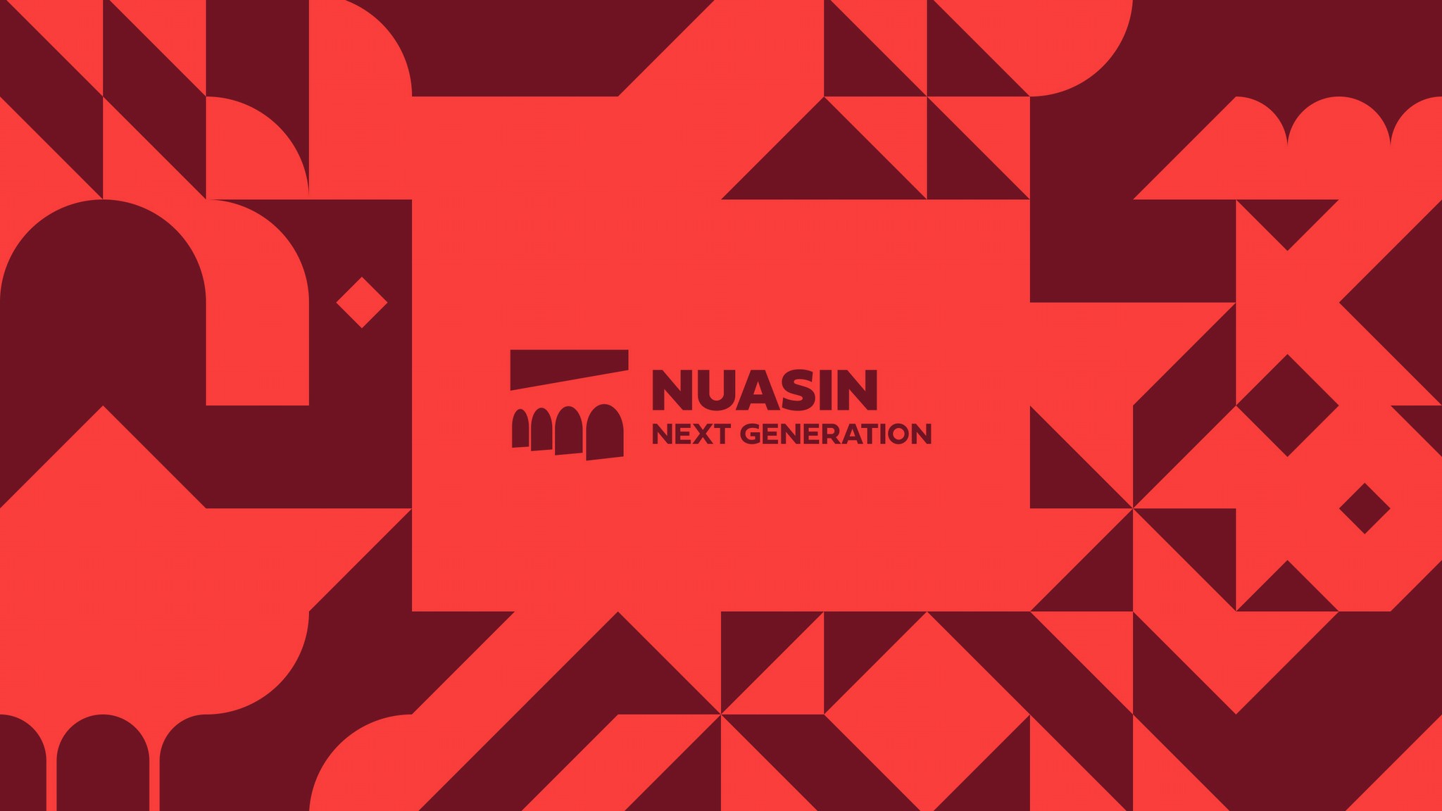 Brand pattern and logo for Nuasin Next Generation Charter School.