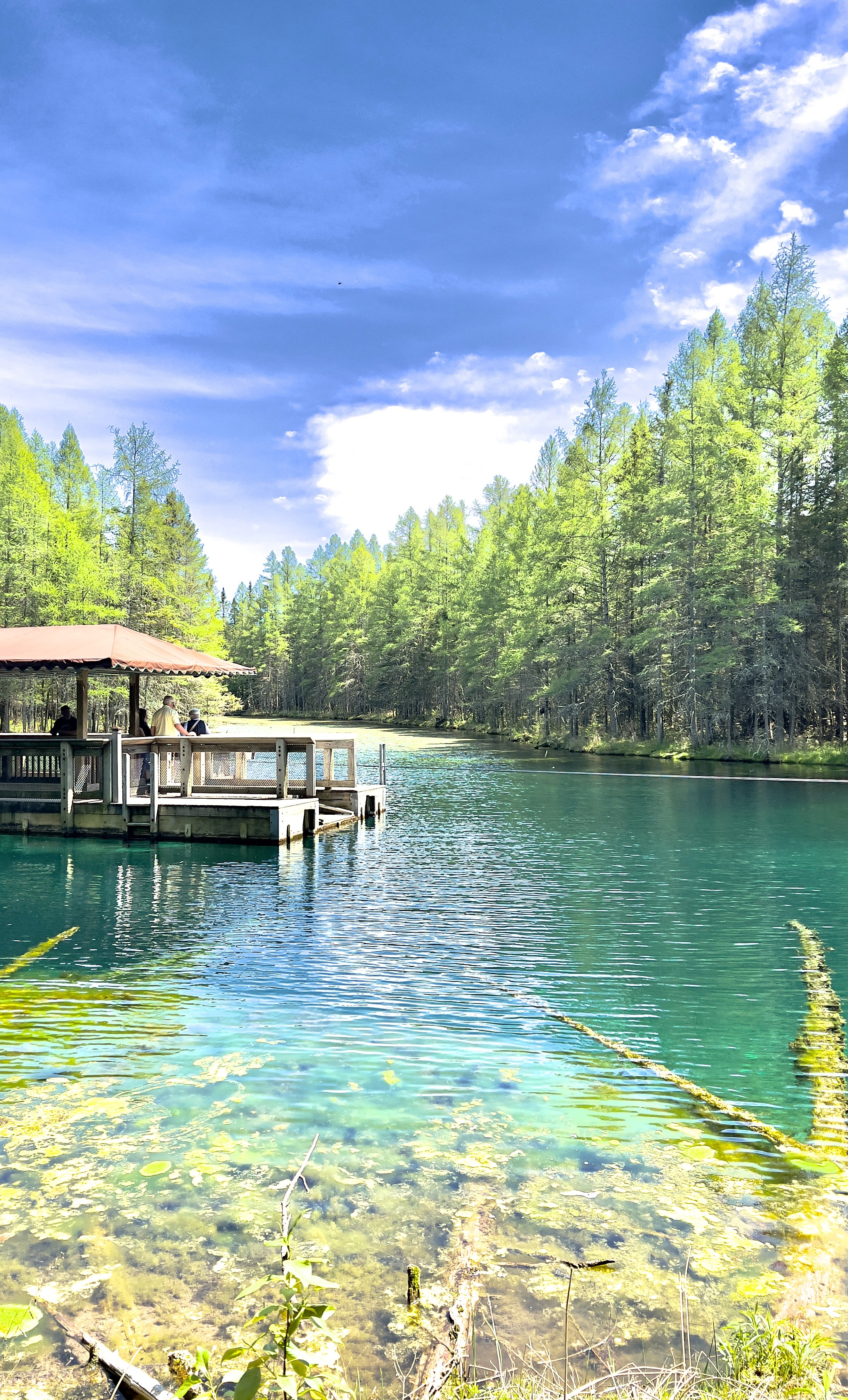 Michael Carter in a dark background