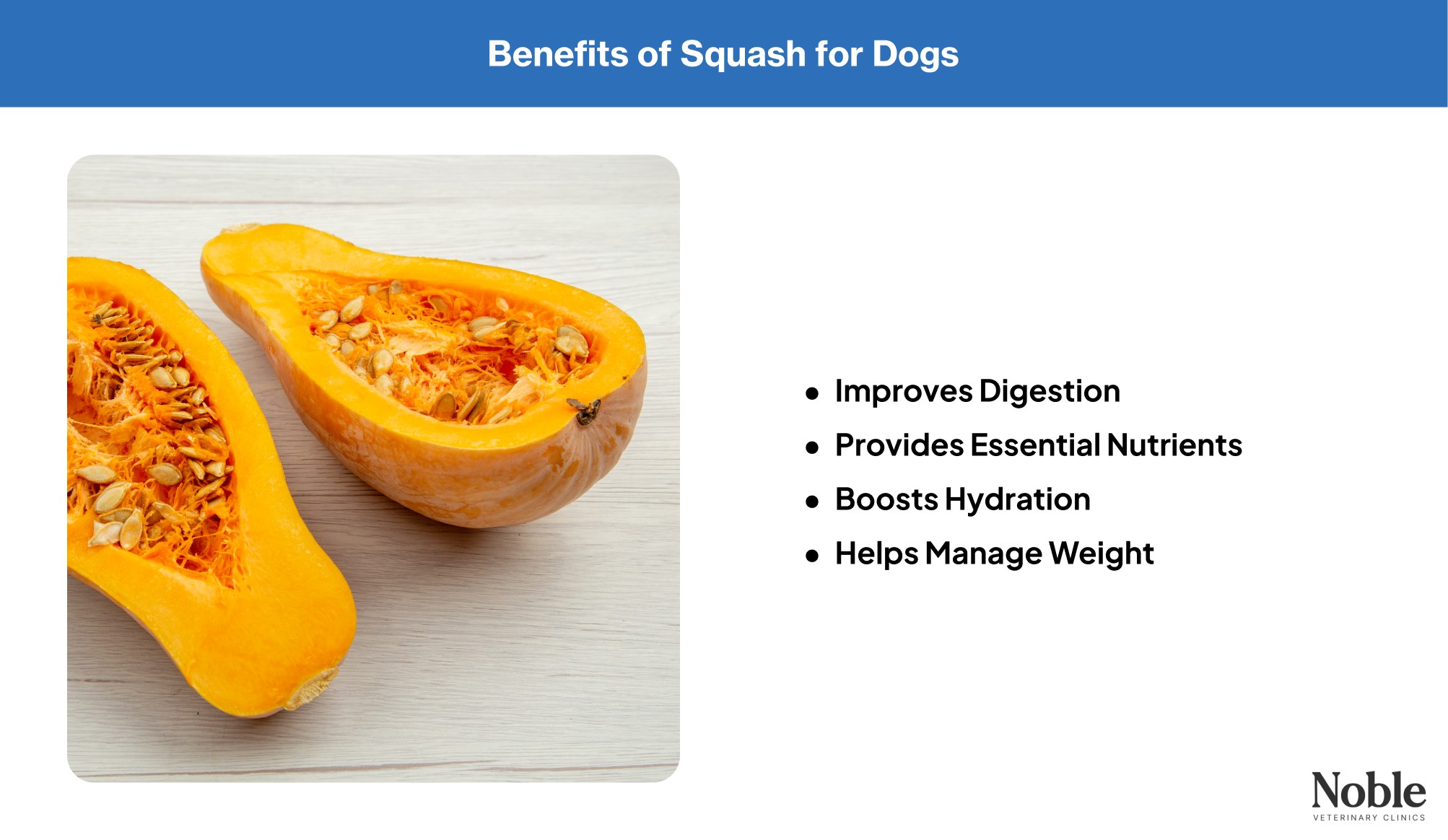 An infographic showing the benefits of squash for dogs.