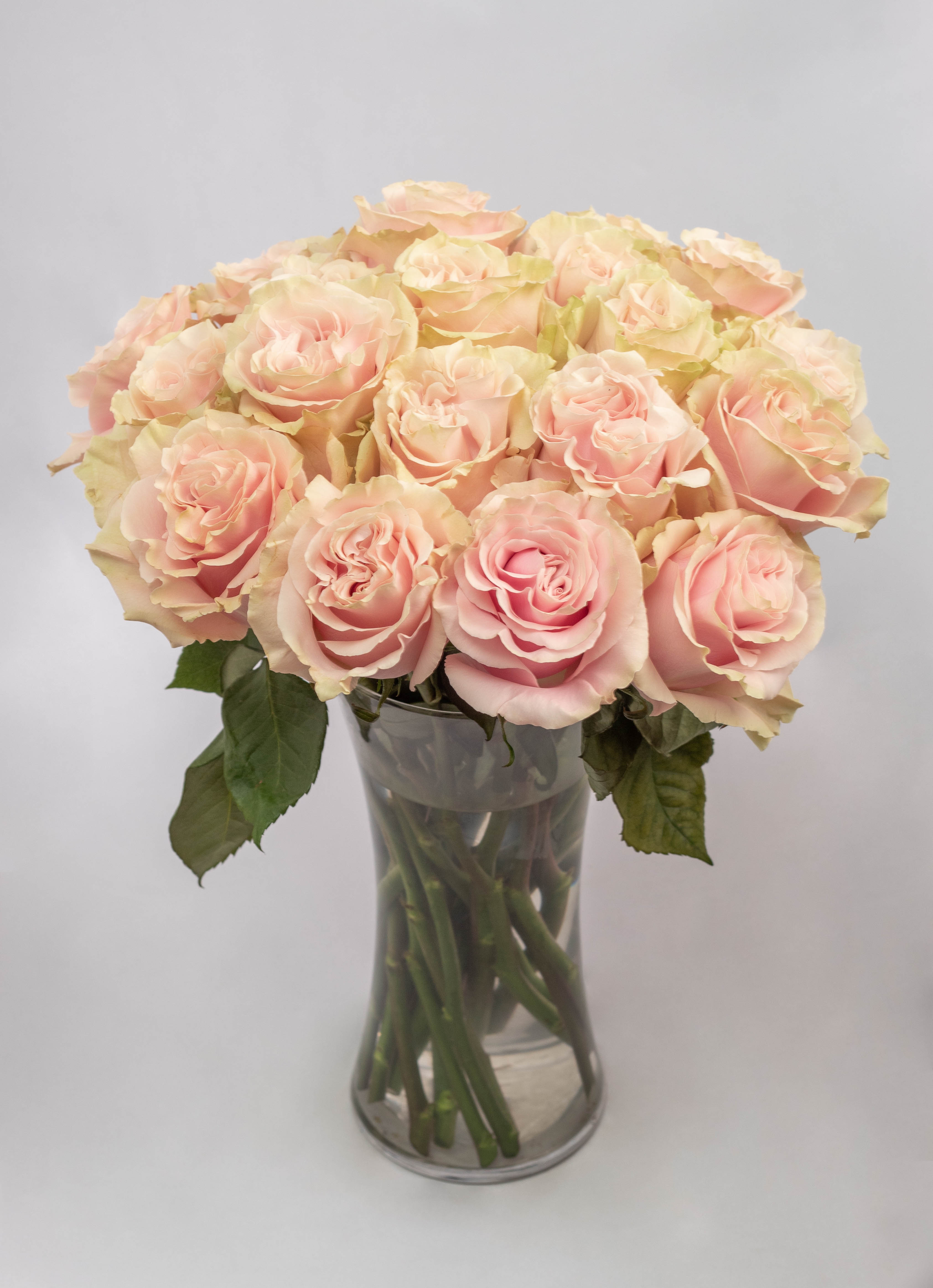 white chair near white wall