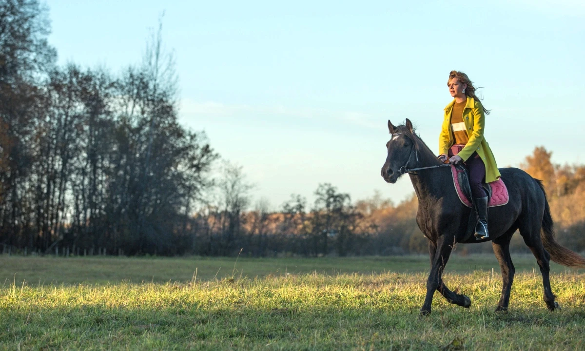 Why Horse Riding Is the Perfect Weekend Escape from City Life in Bangalore