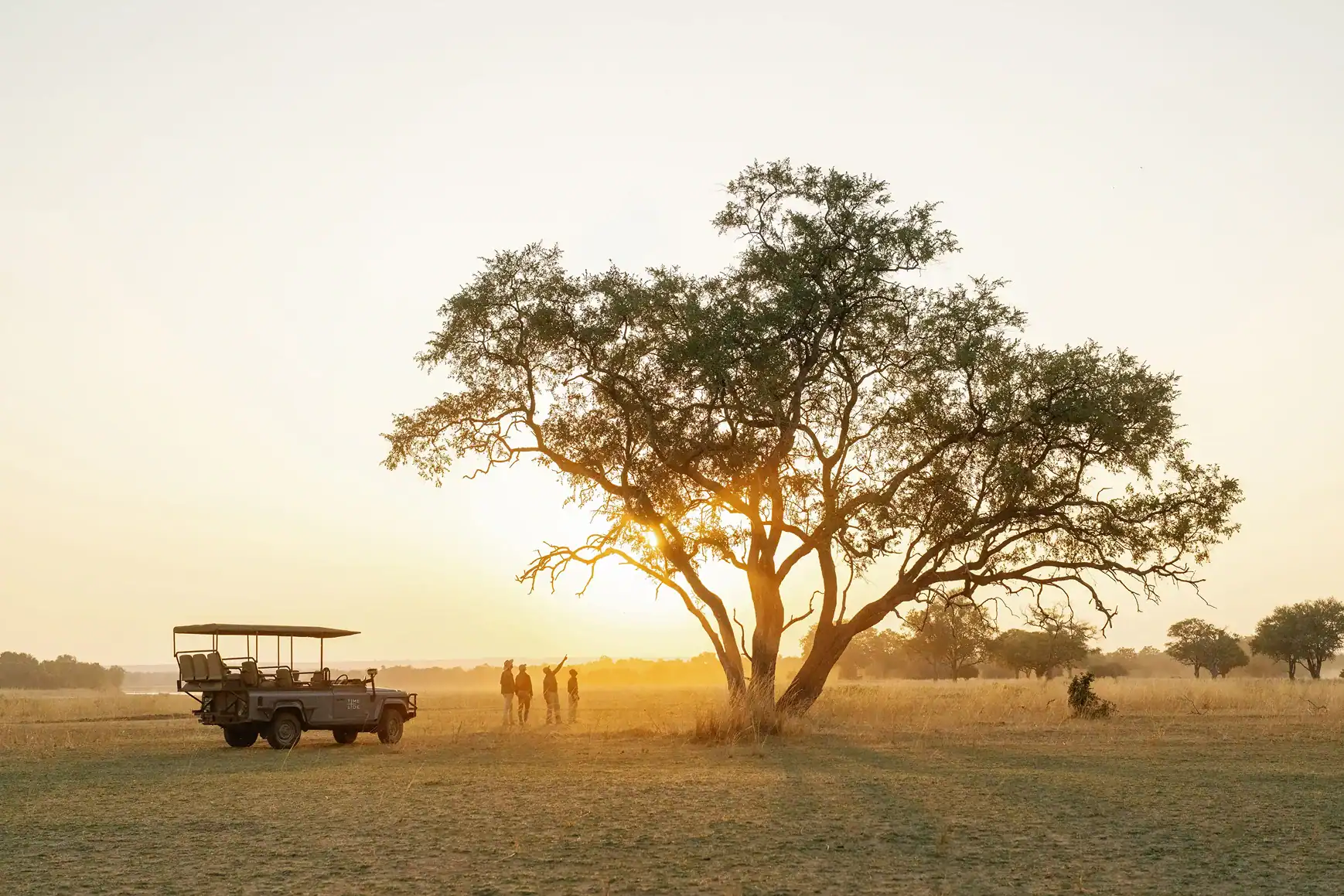 A Time + Tide safari vehicle and guests pause beneath a large tree in South Luangwa at sunset.