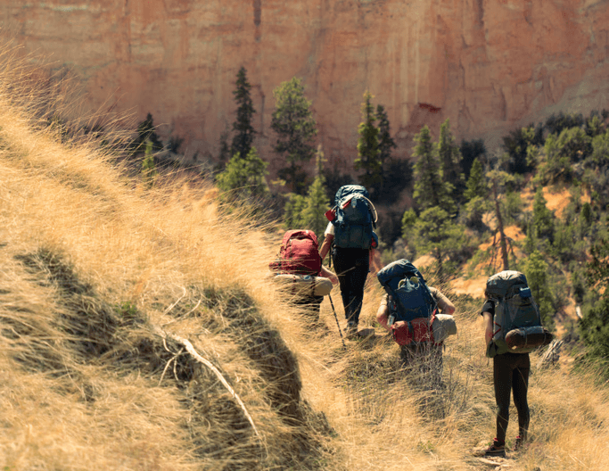 Three backpackers hiking up a grassy canyon trail before travelling abroad