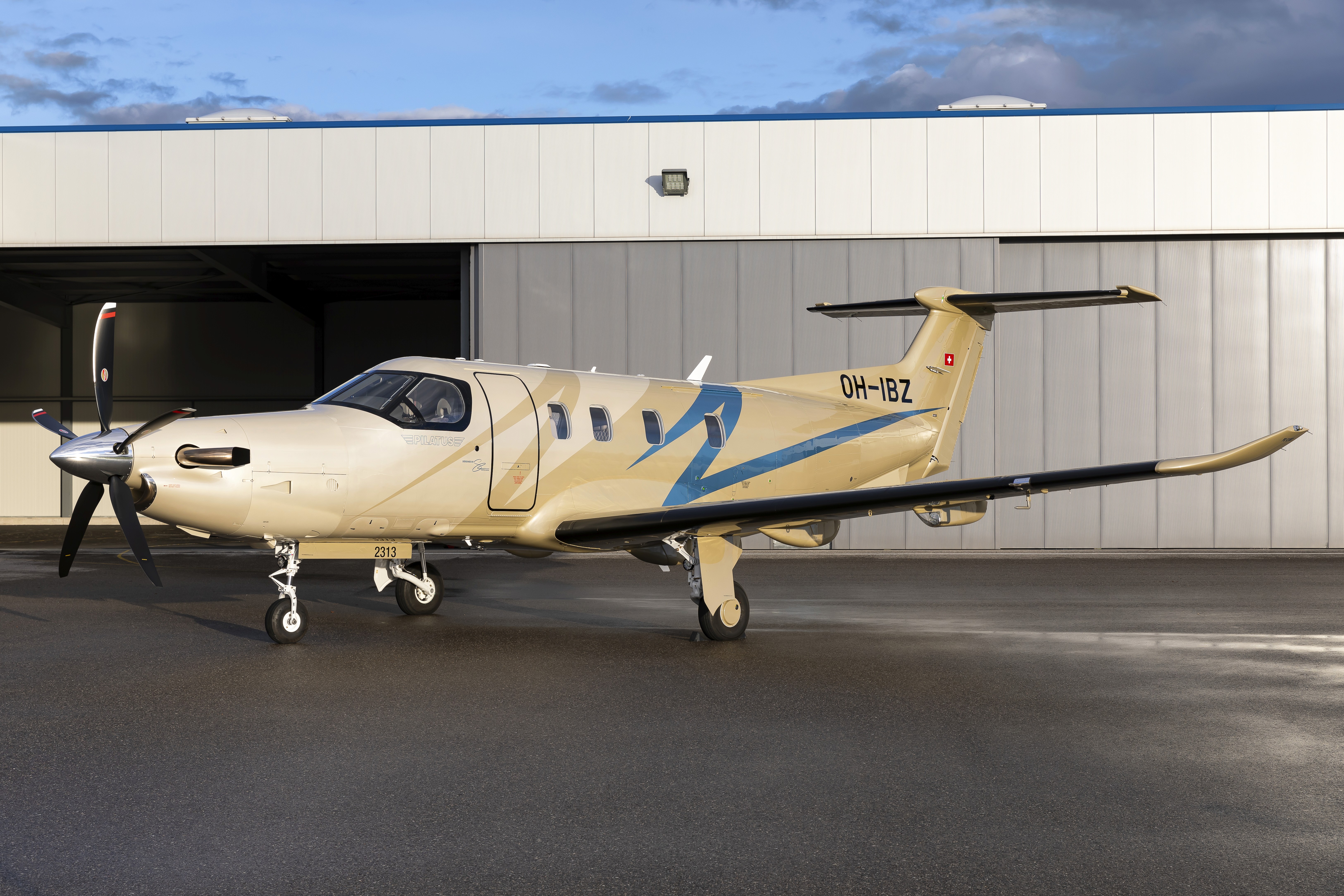 Pilatus PC-12 exterior at Lausanne airport