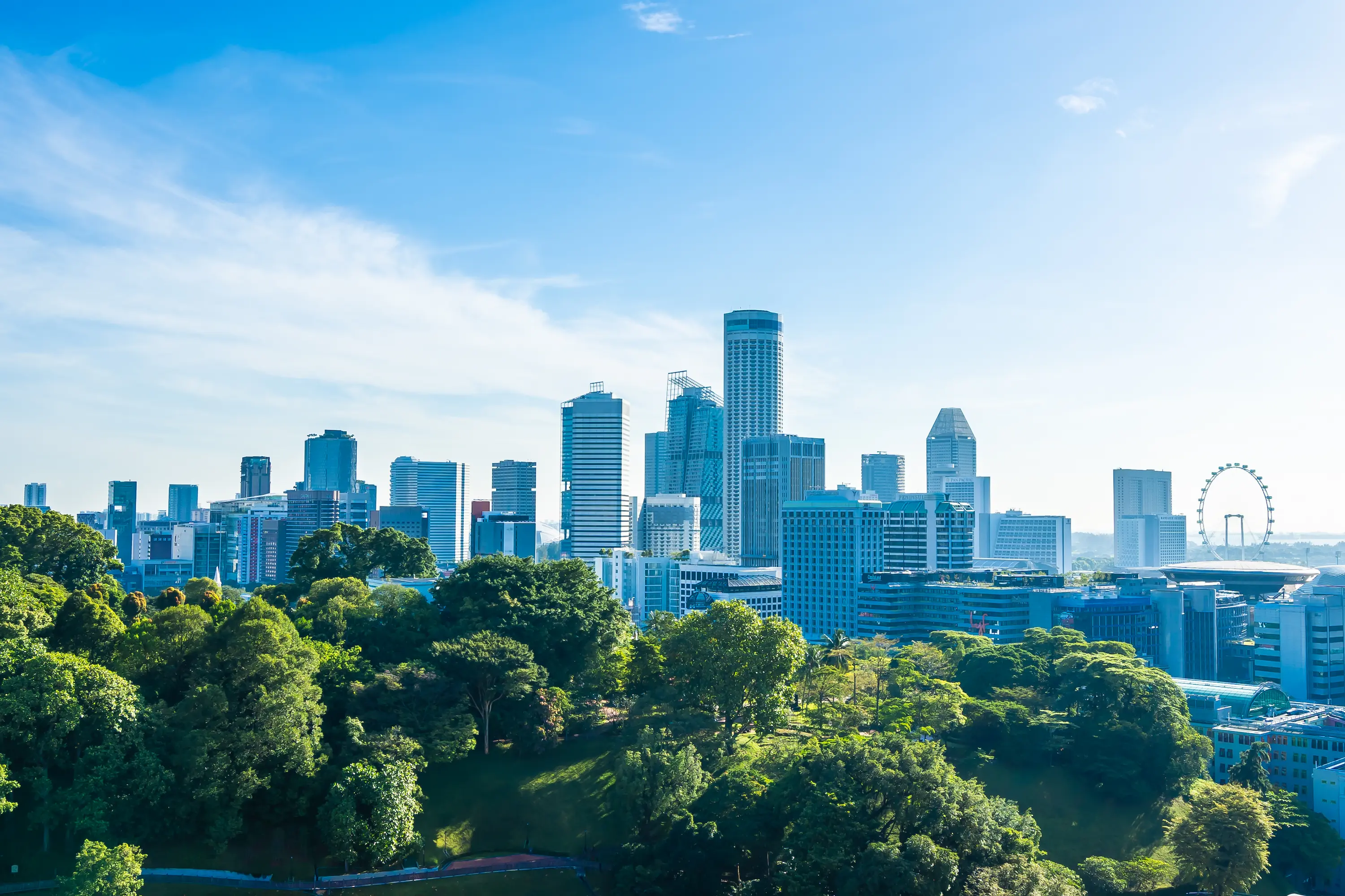 Far View of Houston City